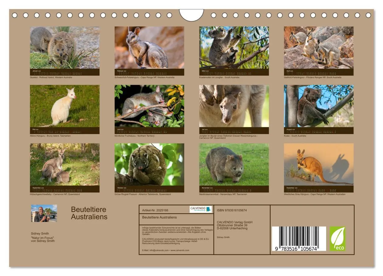Bild: 9783516105674 | Beuteltiere Australiens (Wandkalender 2026 DIN A4 quer), CALVENDO...