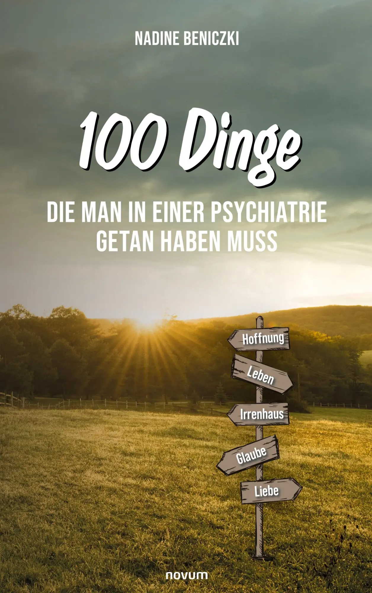 Cover: 9783991315674 | 100 Dinge, die man in einer Psychiatrie getan haben muss | Beniczki