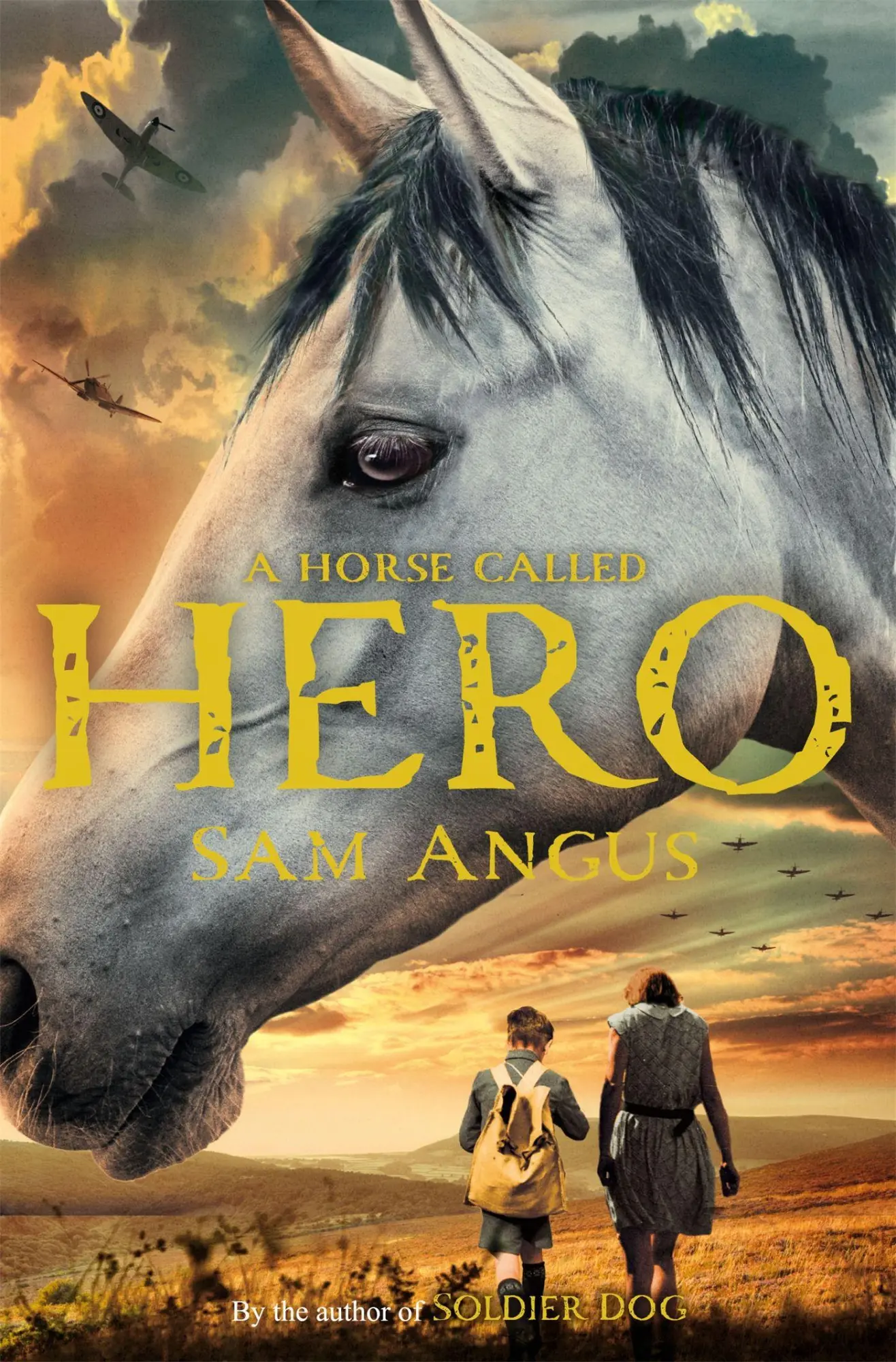 Cover: 9781447235774 | A Horse Called Hero | Sam Angus | Taschenbuch | Englisch | 2013