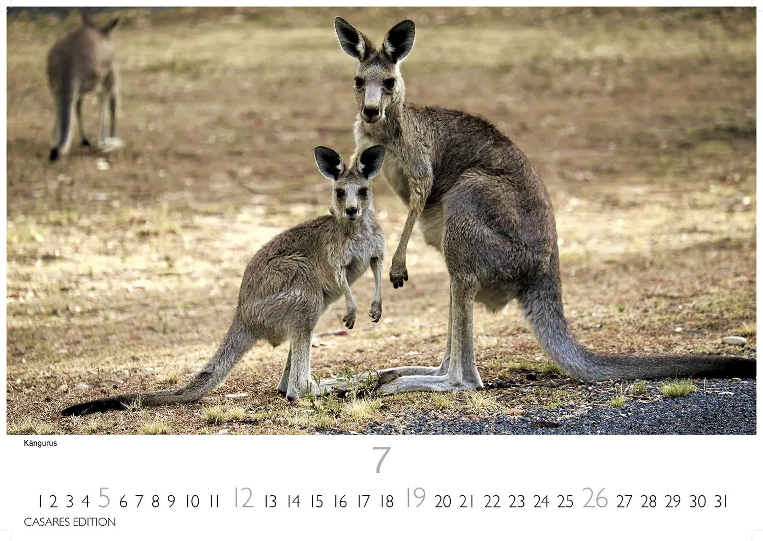 Bild: 9781835245774 | Australien 2026 S 24x35cm | Kalender | 14 S. | Deutsch | 2026