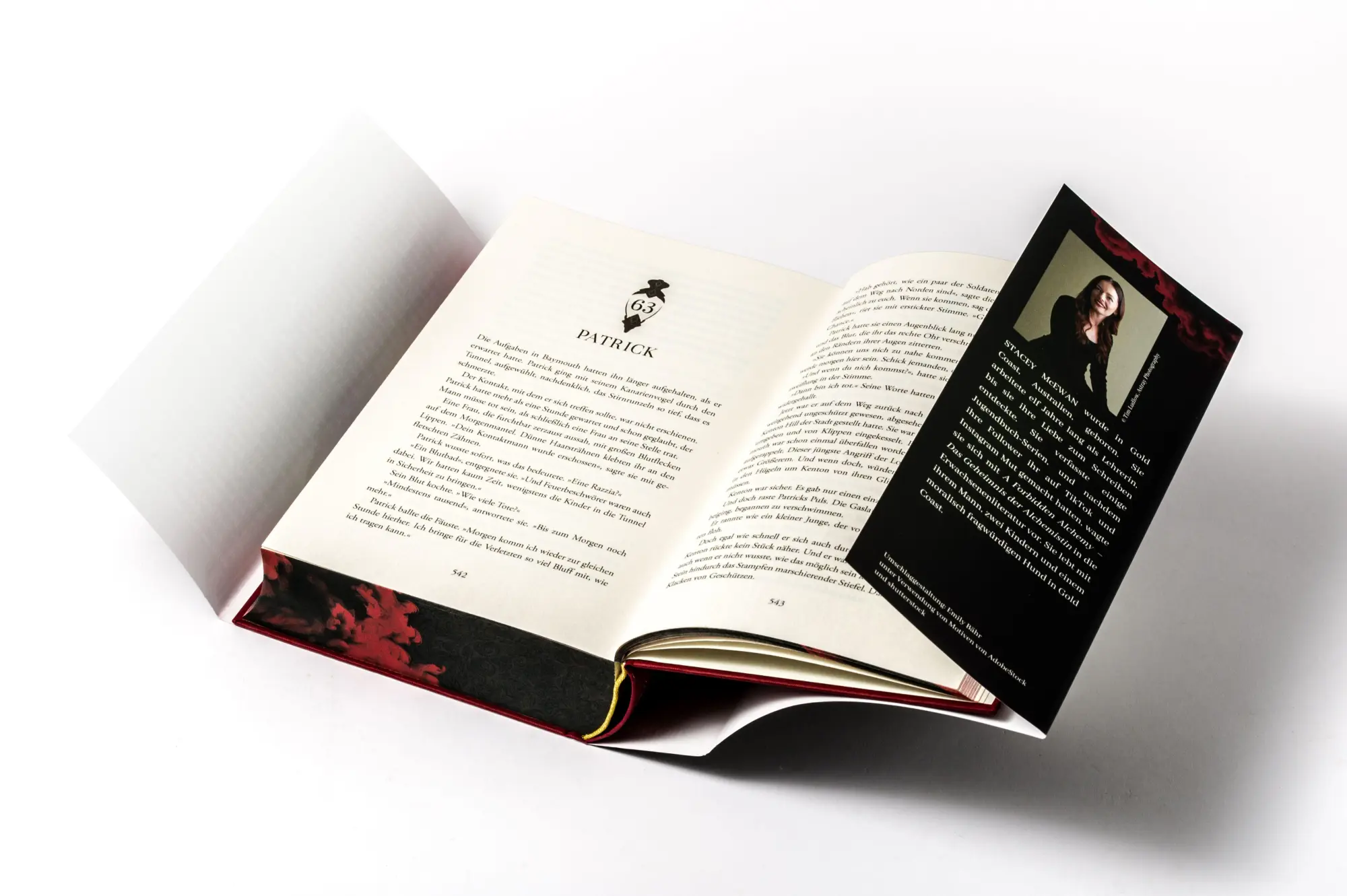 Bild: 9783453275874 | A Forbidden Alchemy - Das Geheimnis der Alchemistin | Stacey McEwan