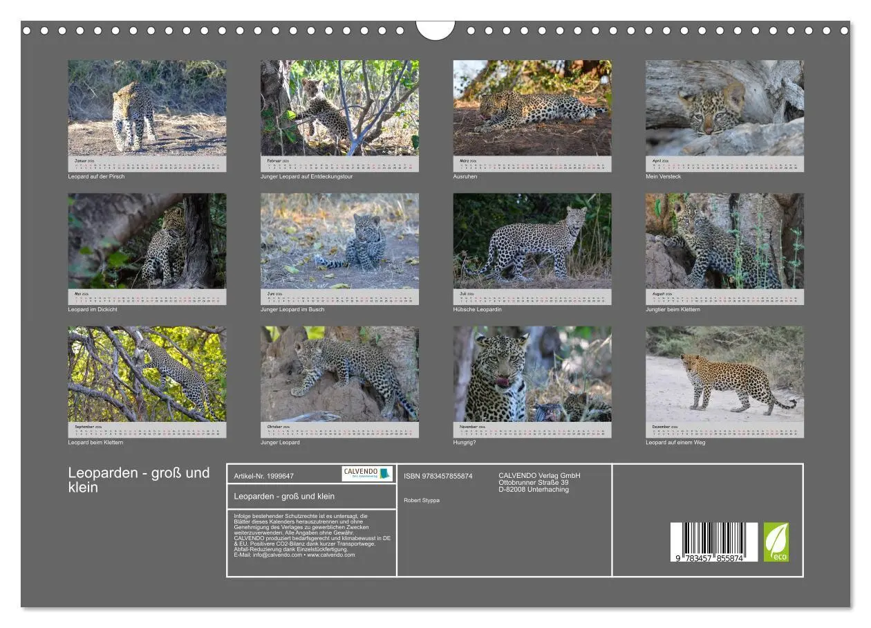 Bild: 9783457855874 | Leoparden - groß und klein (Wandkalender 2026 DIN A3 quer),...