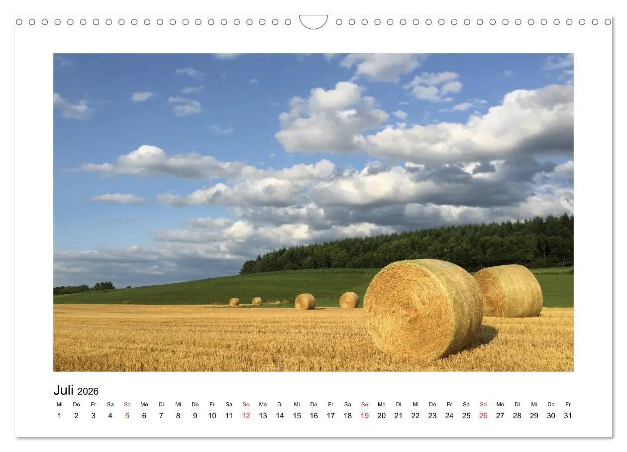 Bild: 9783516015874 | Weingarten und Umgebung 2026 (Wandkalender 2026 DIN A3 quer),...