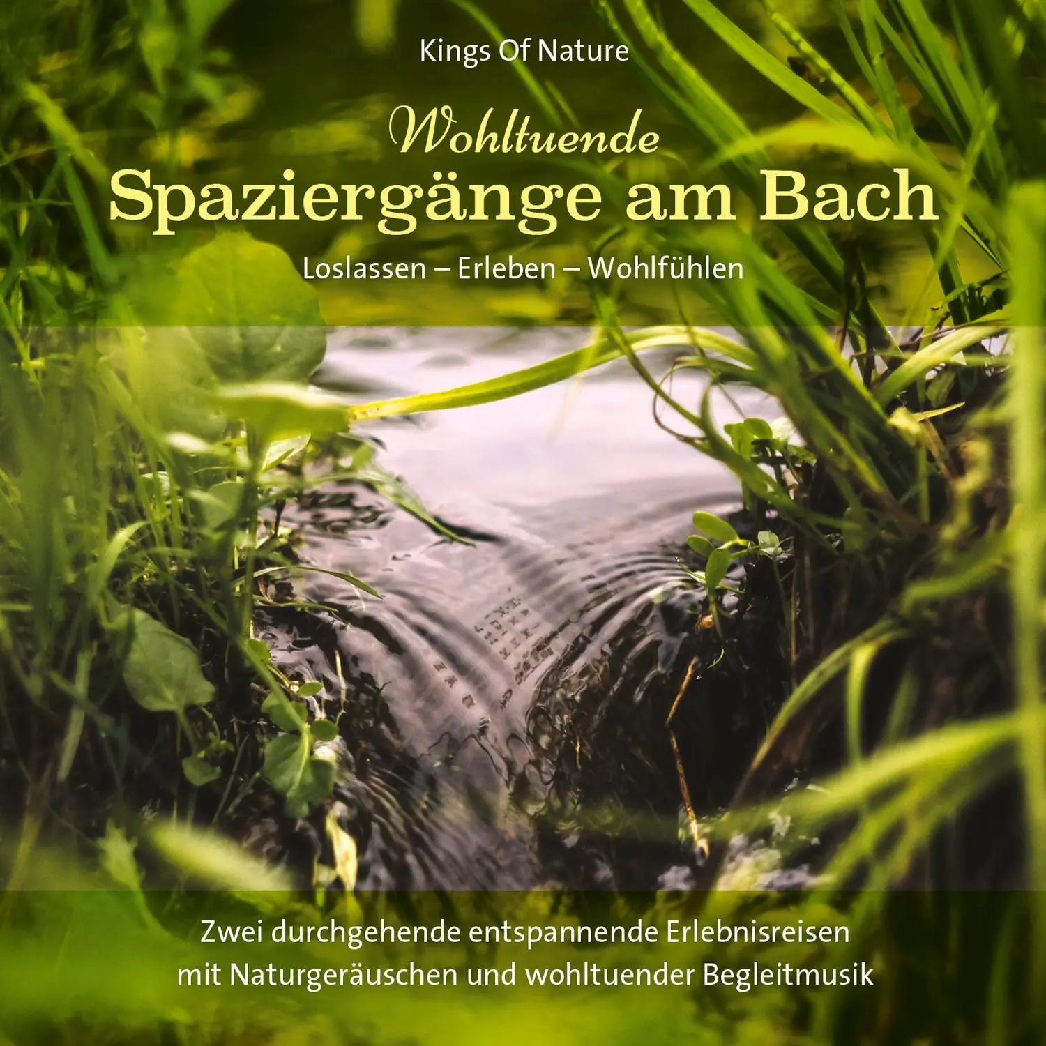 Cover: 9783957665874 | Wohltuende Spaziergänge am Bach | Loslassen-Erleben-Wohlfühlen | CD