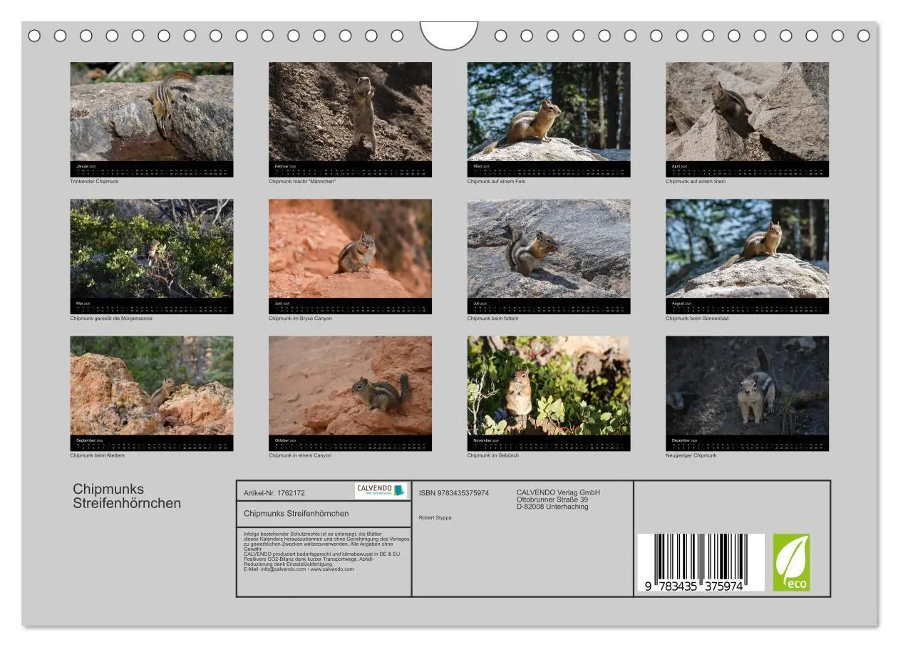 Bild: 9783435375974 | Chipmunks Streifenhörnchen (Wandkalender 2025 DIN A4 quer),...