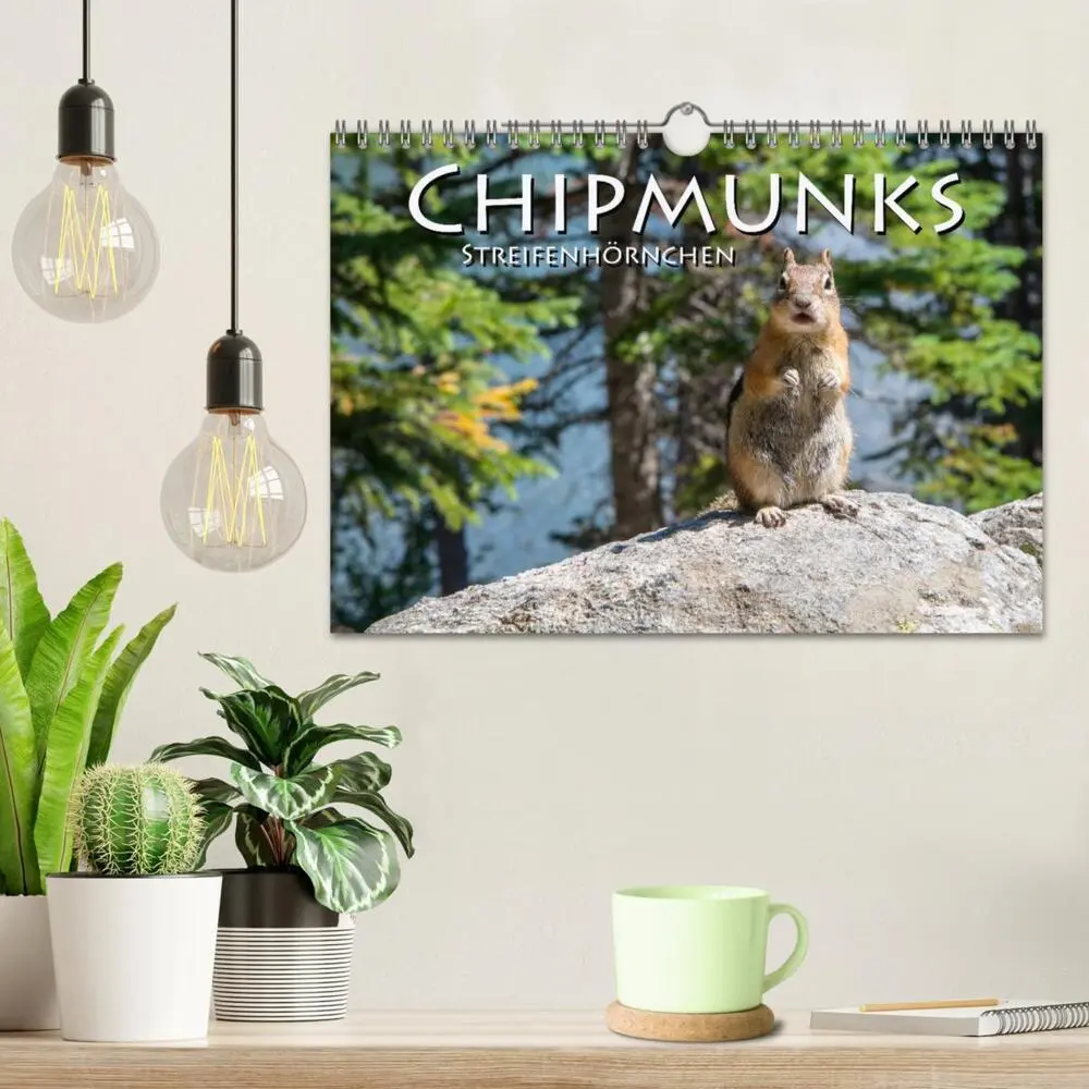 Bild: 9783435375974 | Chipmunks Streifenhörnchen (Wandkalender 2025 DIN A4 quer),...