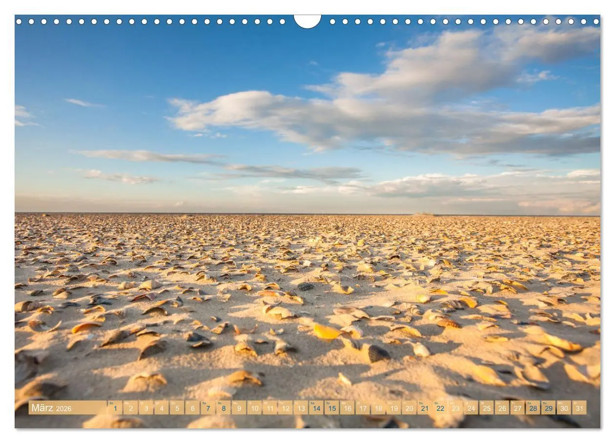 Bild: 9783457605974 | Moin Spiekeroog (Wandkalender 2026 DIN A3 quer), CALVENDO...