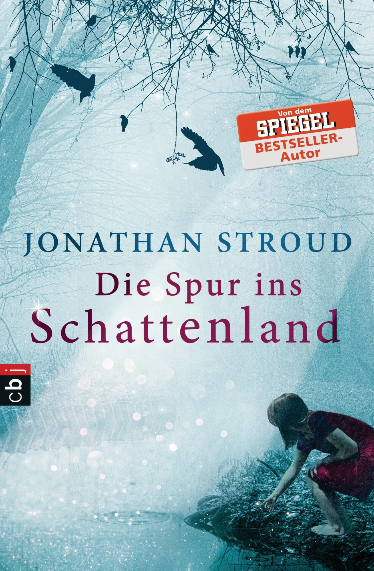Cover: 9783570225974 | Die Spur ins Schattenland | Jonathan Stroud | Taschenbuch | 316 S.
