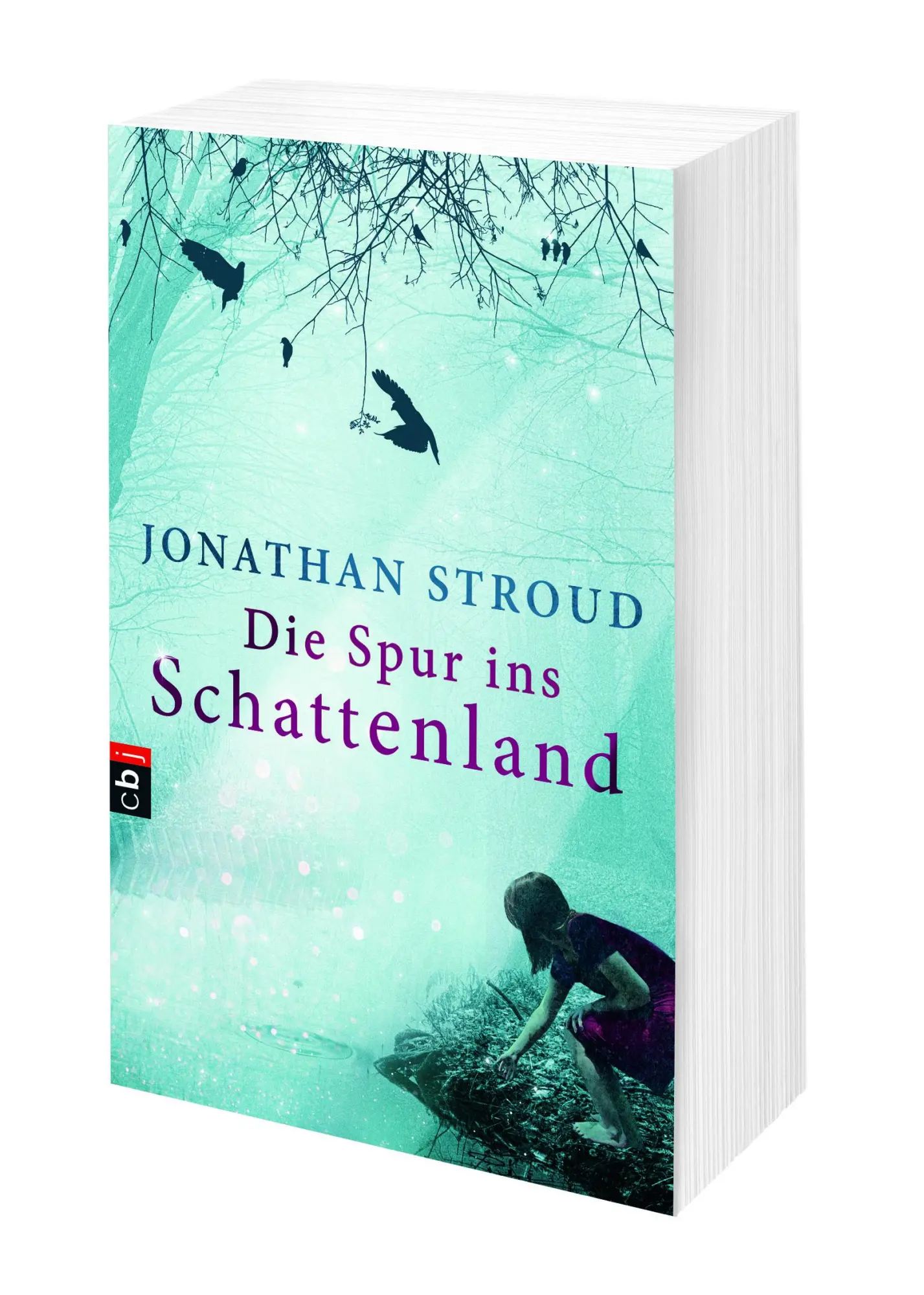 Bild: 9783570225974 | Die Spur ins Schattenland | Jonathan Stroud | Taschenbuch | 316 S.