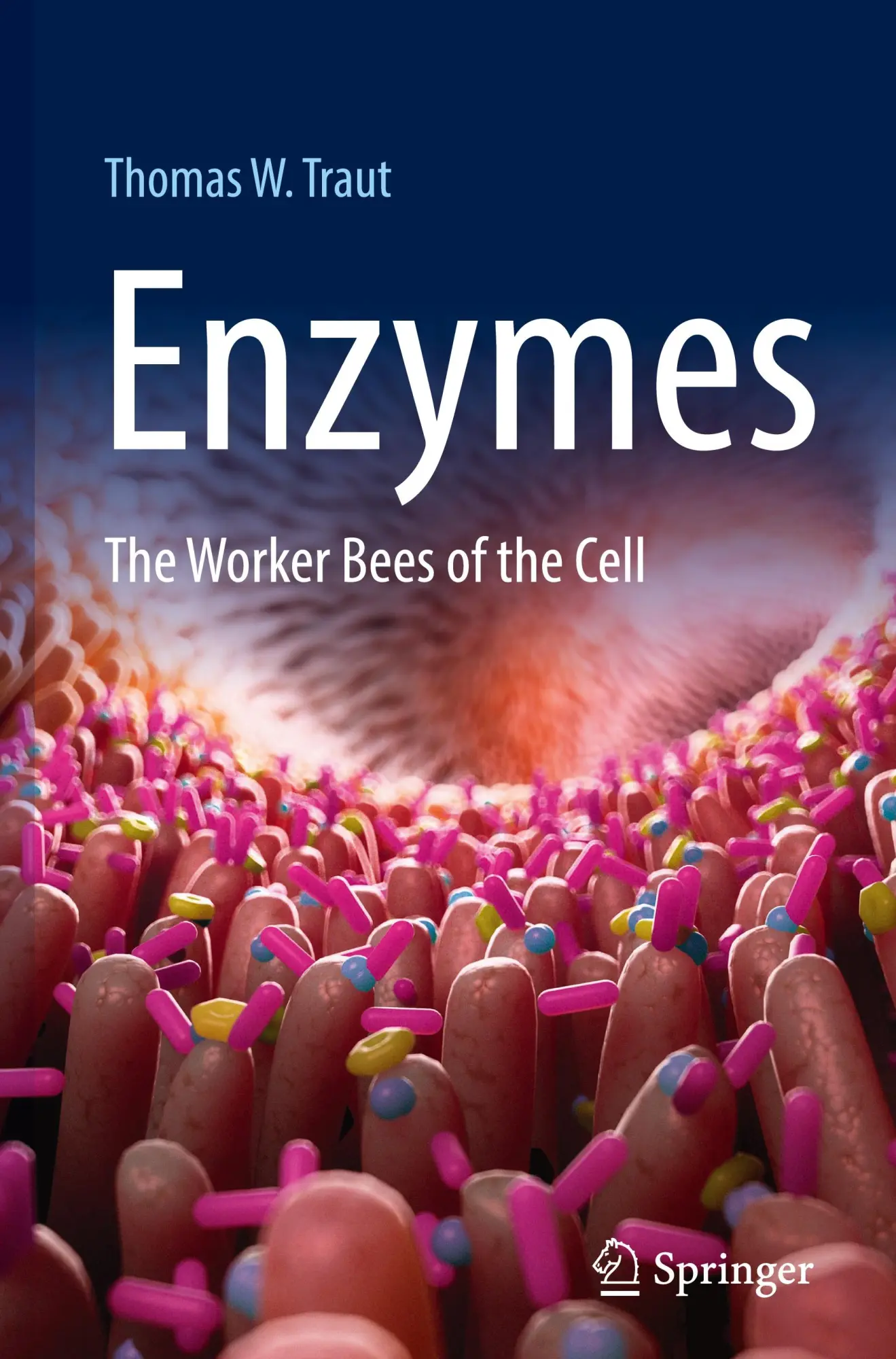 Cover: 9783031936074 | Enzymes | The Worker Bees of the Cell | Thomas W. Traut | Buch | xiv
