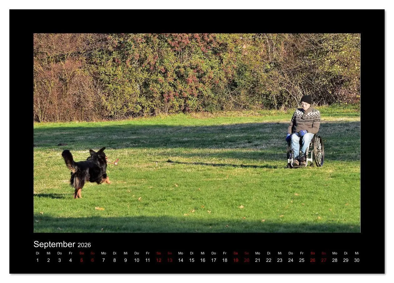 Bild: 9783457806074 | Der Hovawart... Dein Freund fürs Leben ! (Wandkalender 2026 DIN A4...
