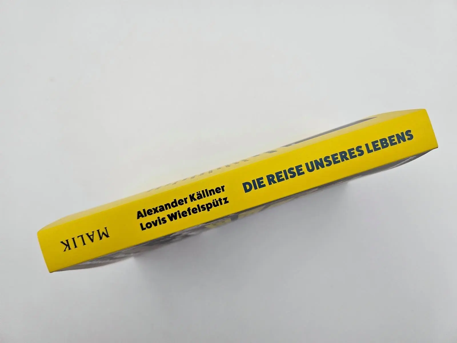 Bild: 9783890296074 | Die Reise unseres Lebens | Alexander Källner (u. a.) | Taschenbuch