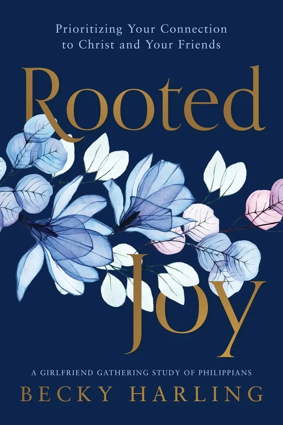 Cover: 9781563096174 | Rooted Joy | Prioritizing Your Connection to Christ and Your Friends