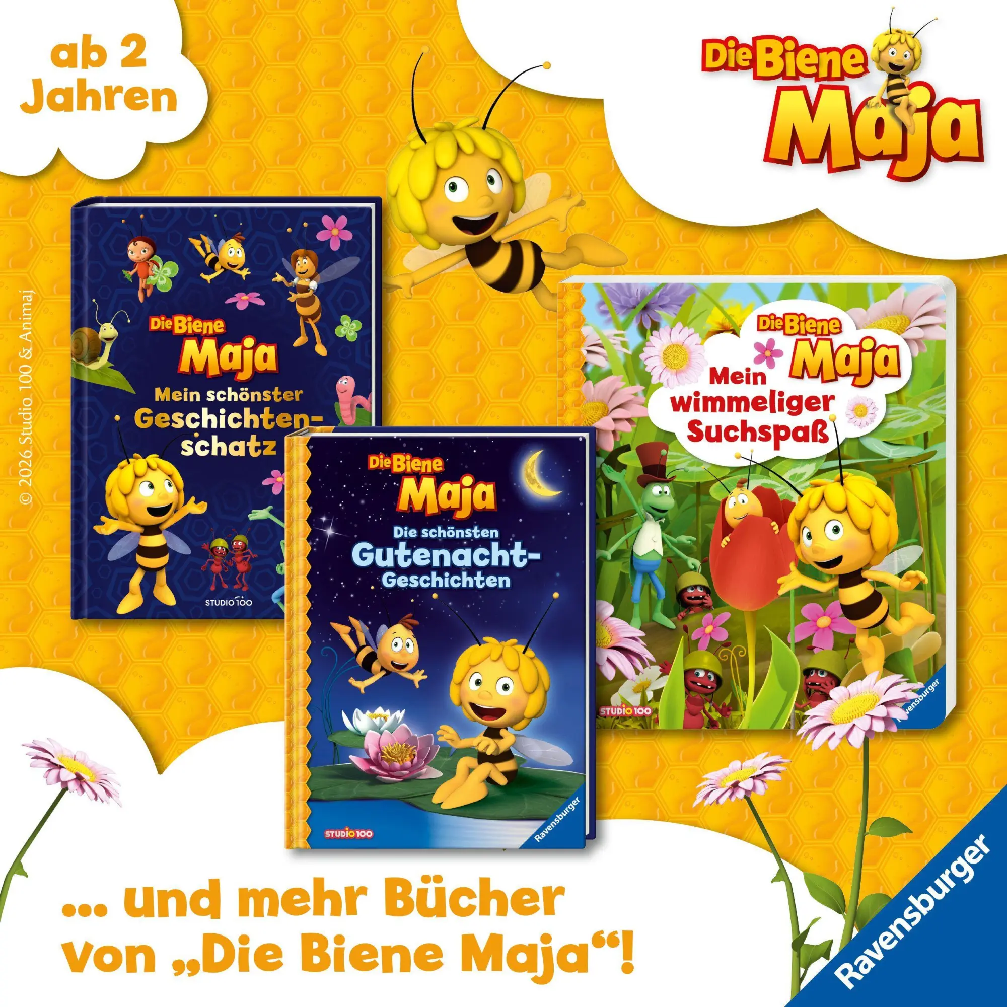 Bild: 9783473496174 | Die Biene Maja: Die schönsten Gutenachtgeschichten | Carla Felgentreff