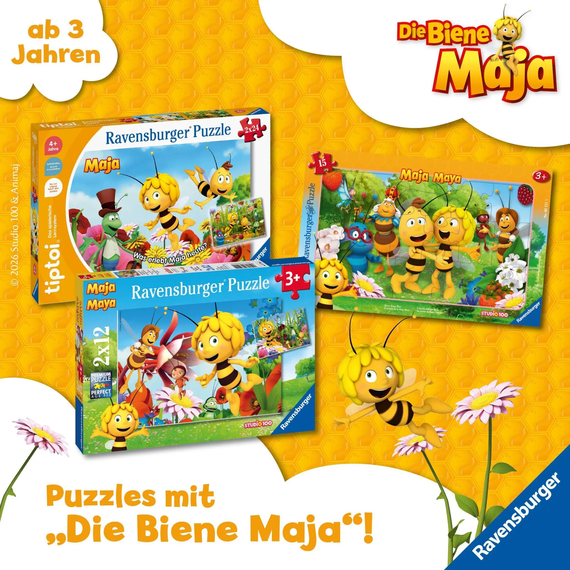 Bild: 9783473496174 | Die Biene Maja: Die schönsten Gutenachtgeschichten | Carla Felgentreff