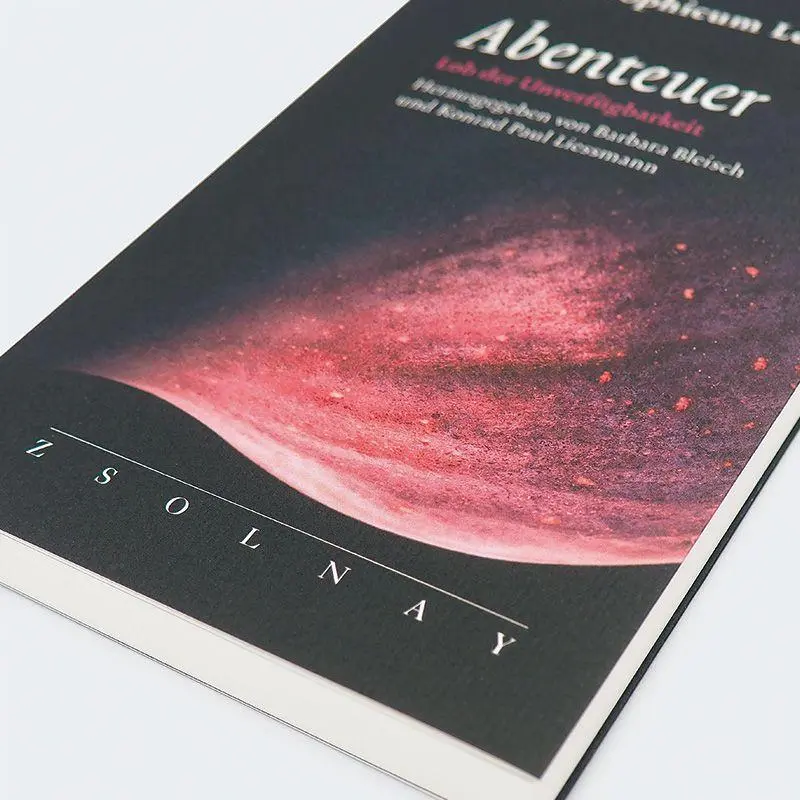 Bild: 9783552076174 | Abenteuer | Lob der Unverfügbarkeit (Philosophicum Lech 28) | Buch