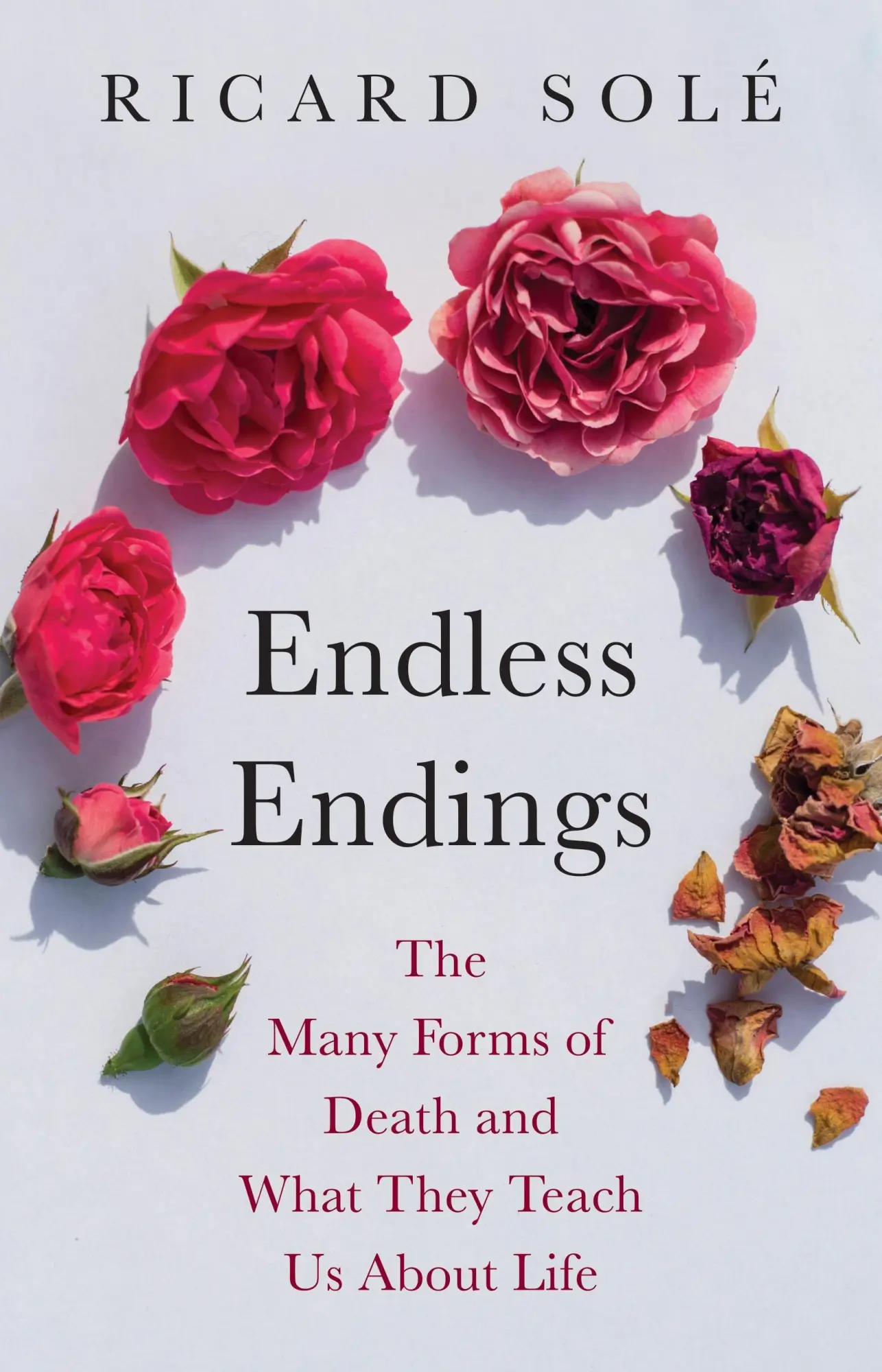 Cover: 9780691276274 | Endless Endings | Ricard Sole | Buch | Einband - fest (Hardcover)