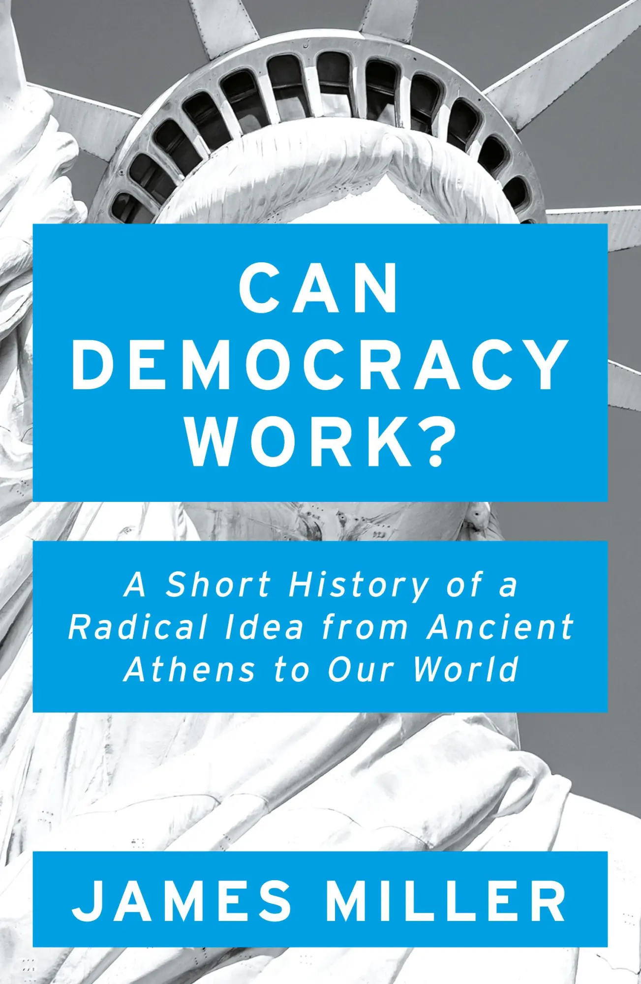 Cover: 9781786076274 | Can Democracy Work? | James Miller | Taschenbuch | X | Englisch | 2020