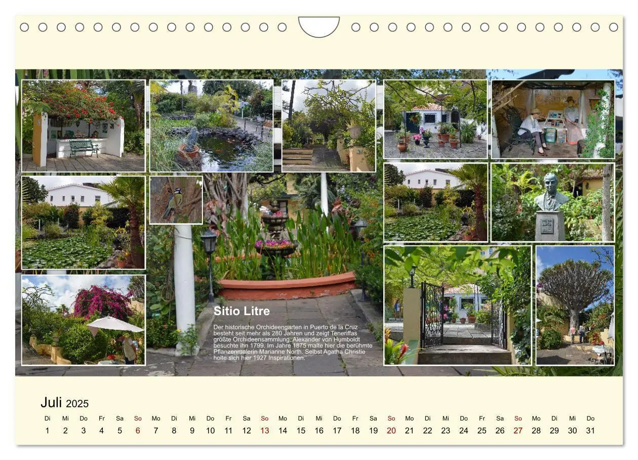 Bild: 9783435006274 | Zauberhaftes Teneriffa (Wandkalender 2025 DIN A4 quer), CALVENDO...