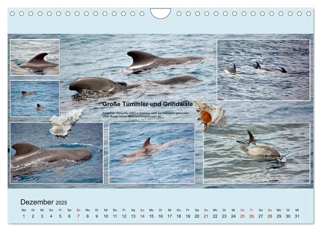 Bild: 9783435006274 | Zauberhaftes Teneriffa (Wandkalender 2025 DIN A4 quer), CALVENDO...