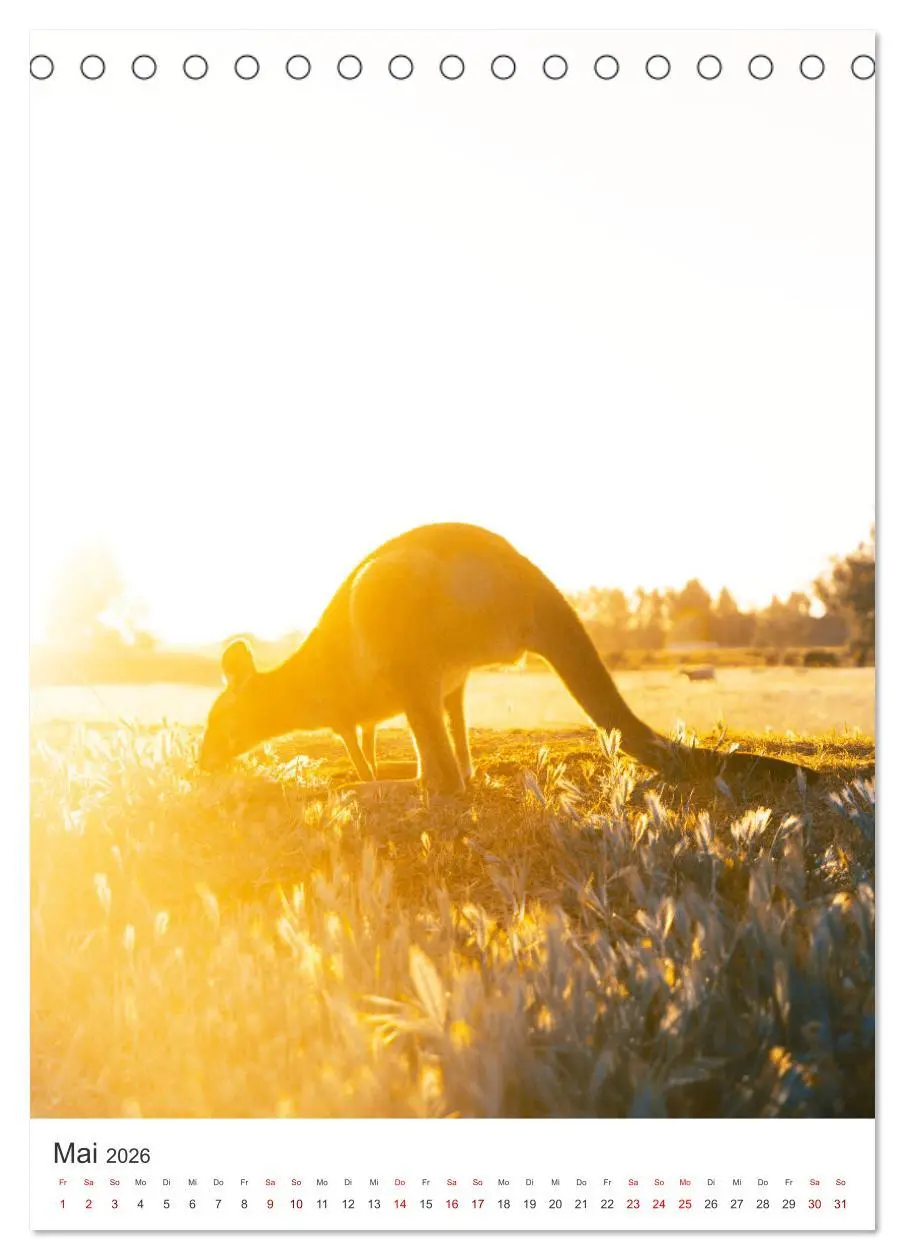Bild: 9783516356274 | Australien - Eine unvergessliche Reise. (Tischkalender 2026 DIN A5...