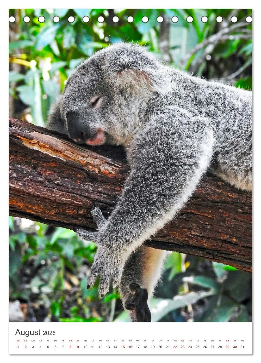 Bild: 9783516356274 | Australien - Eine unvergessliche Reise. (Tischkalender 2026 DIN A5...