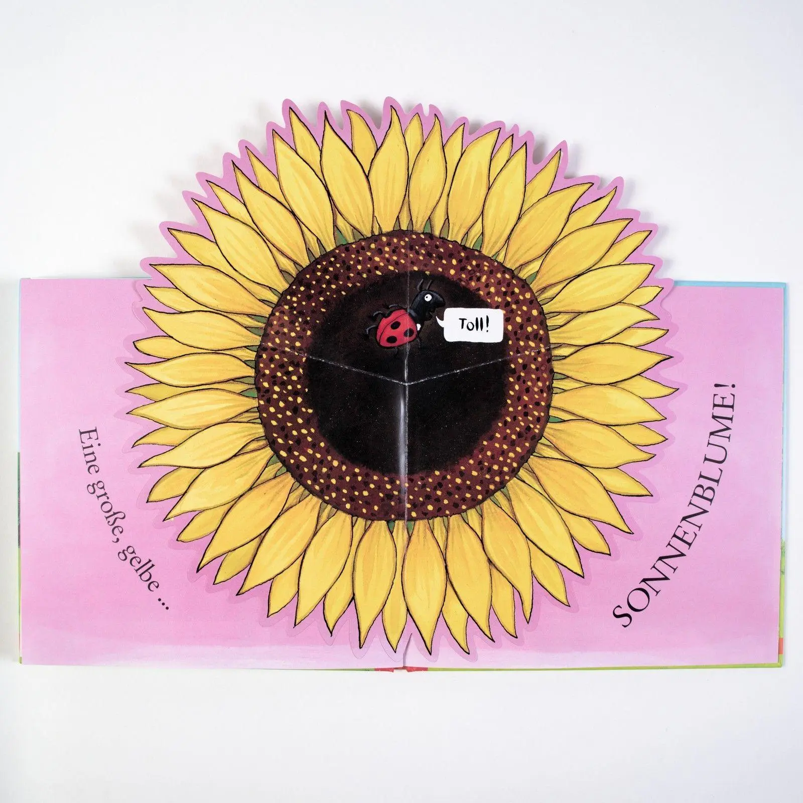 Bild: 9783407756374 | Sam pflanzt Sonnenblumen | Axel Scheffler (u. a.) | Buch | 16 S.