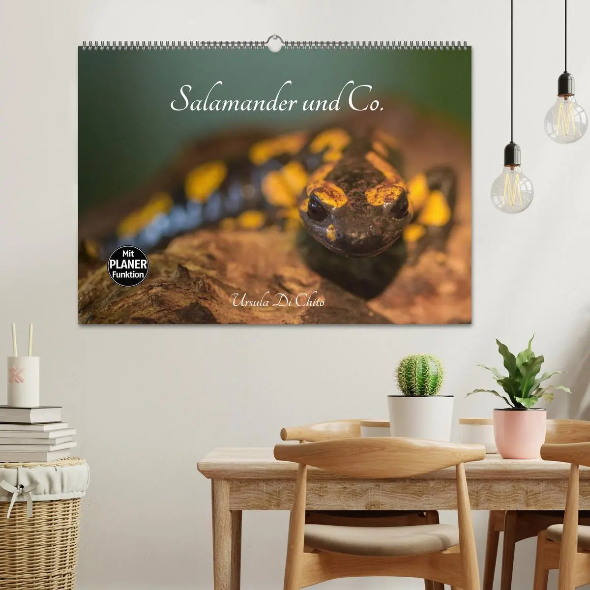 Bild: 9783457946374 | Salamander und Co. (Wandkalender 2026 DIN A2 quer), CALVENDO...