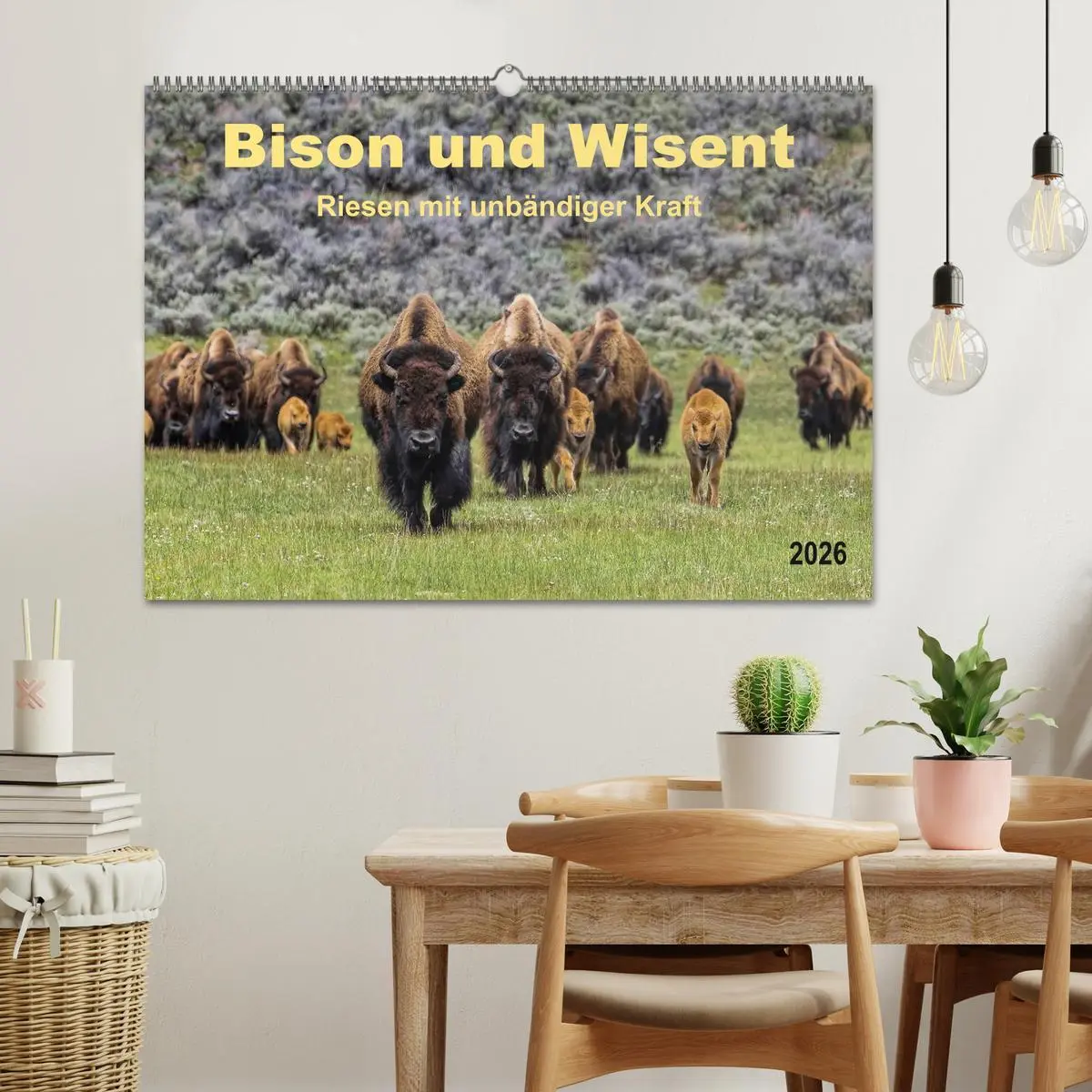 Bild: 9783516036374 | Bison und Wisent - Riesen mit unbändiger Kraft (Wandkalender 2026...