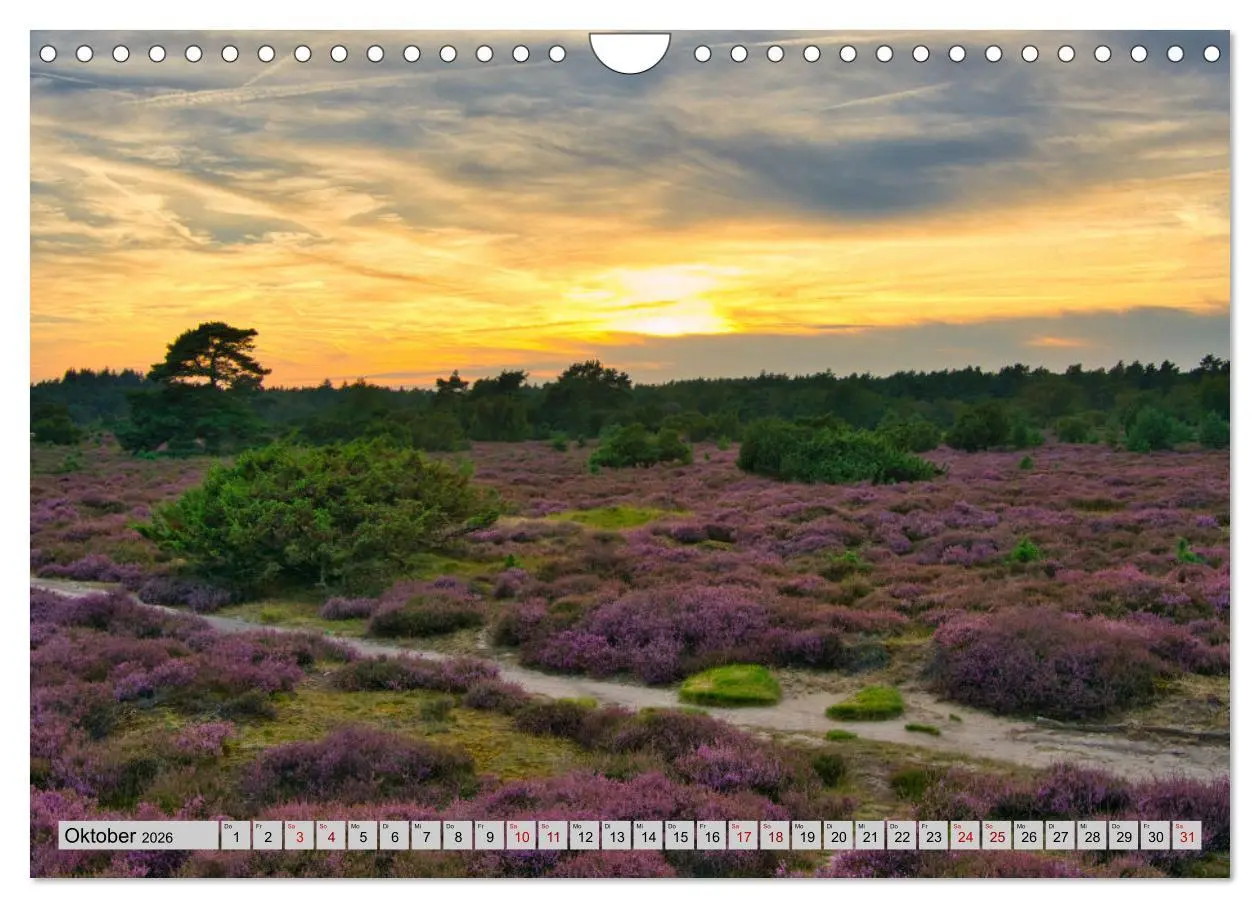 Bild: 9783457866474 | Streifzüge durch den Norden der Niederlande (Wandkalender 2026 DIN...