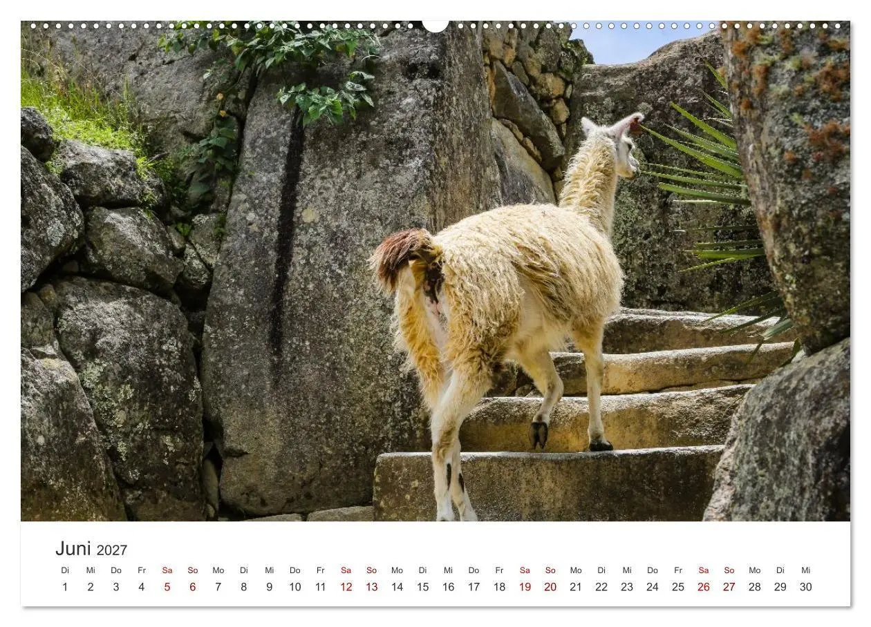 Bild: 9783516886474 | Macchu Picchu (hochwertiger Premium Wandkalender 2027 DIN A2 quer),...
