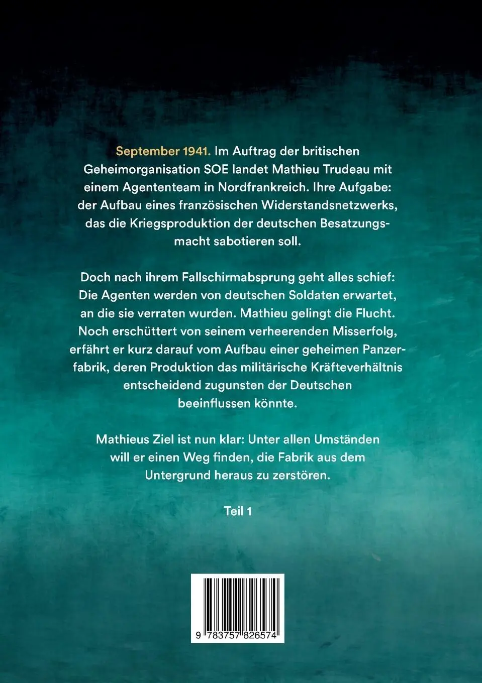Rückseite: 9783757826574 | Der Preis der Hoffnung, Teil 1 (Taschenbuch-Ausgabe) | Erik Lorenz
