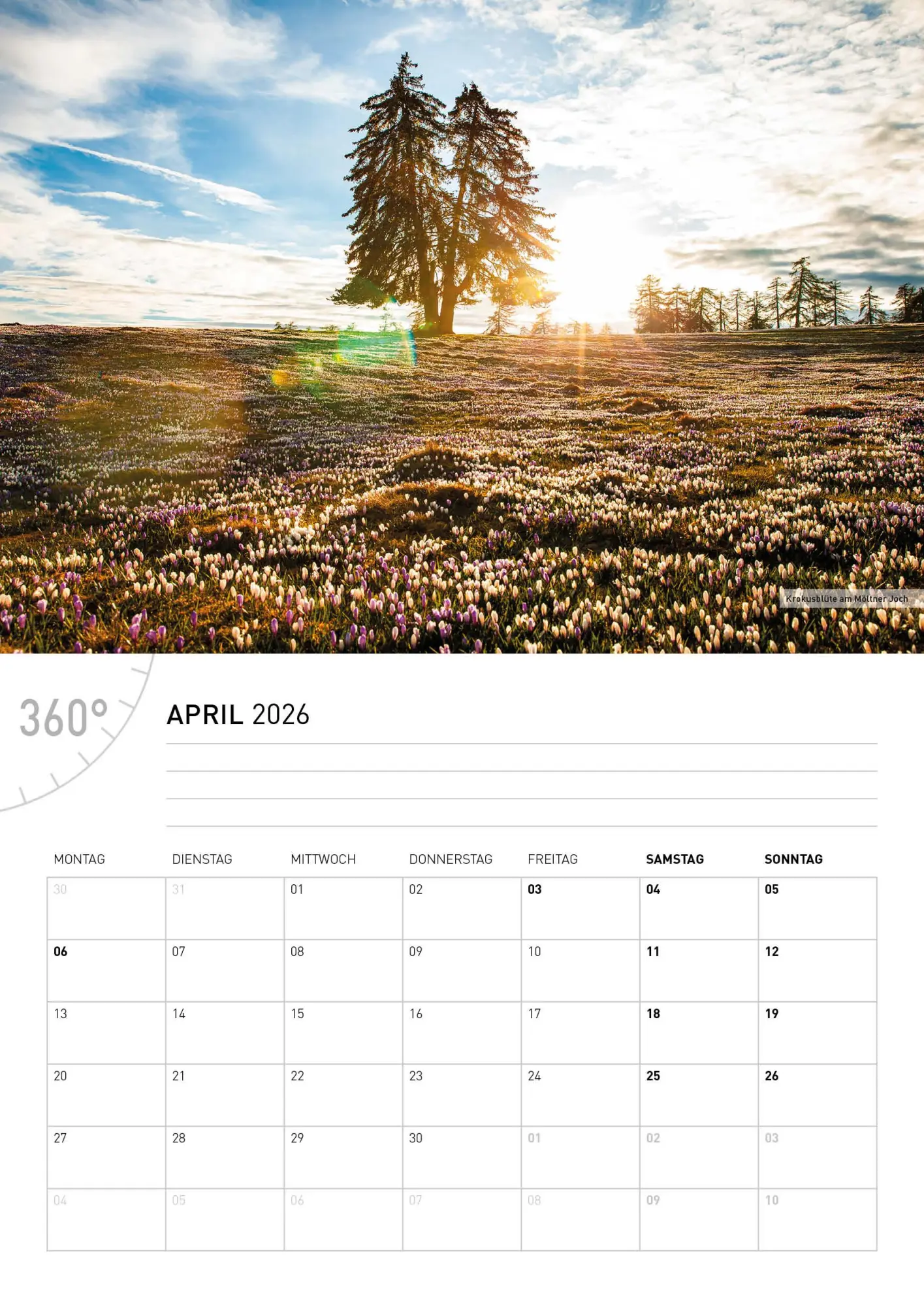 Bild: 9783968556574 | Südtirol Broschürenkalender 2026 | Judith Niederwanger | Kalender