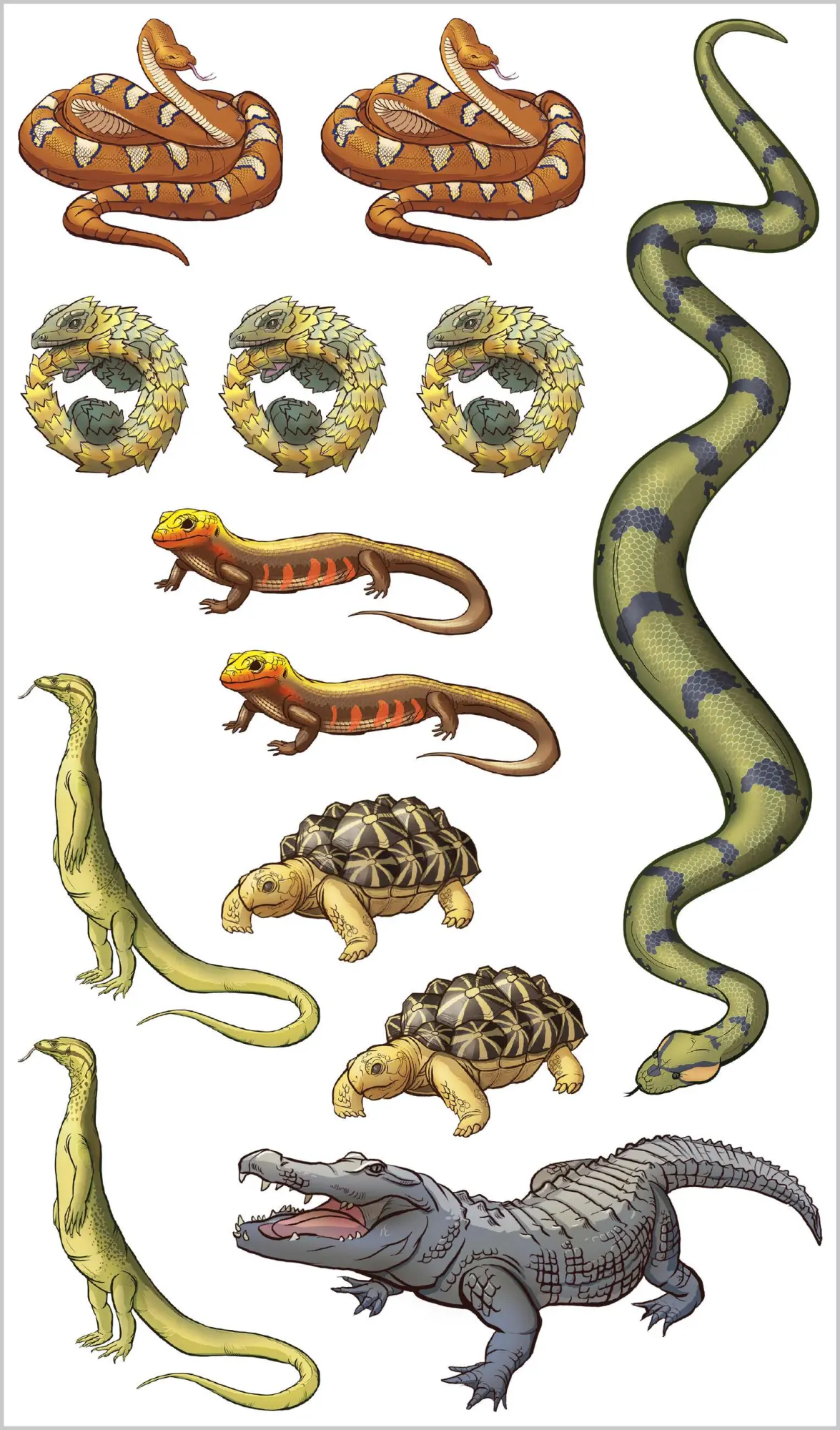 Bild: 9781635866674 | Slithering, Scaly Tattoo Snakes &amp; Other Reptiles | Publishing | Buch