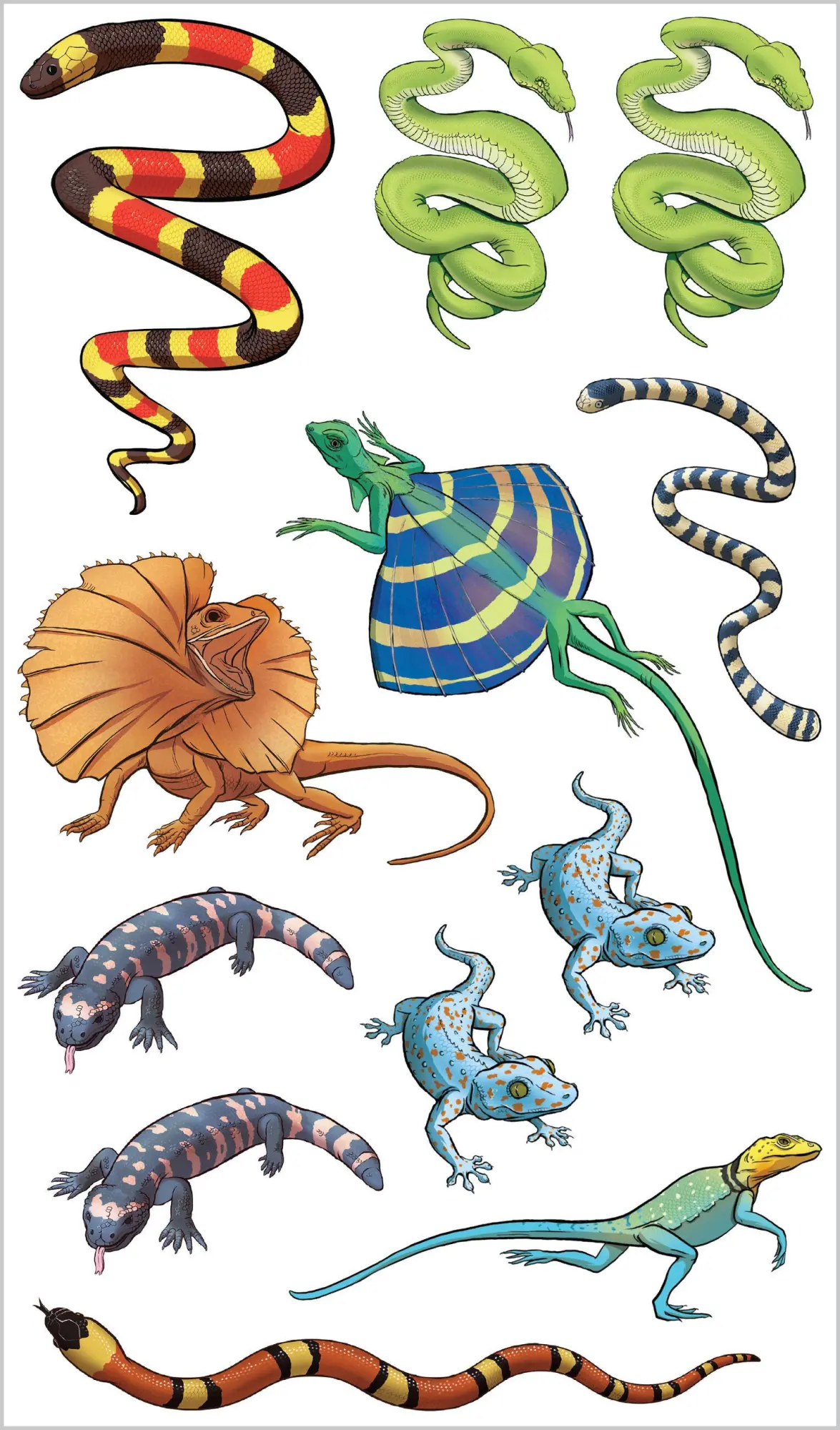 Bild: 9781635866674 | Slithering, Scaly Tattoo Snakes &amp; Other Reptiles | Publishing | Buch