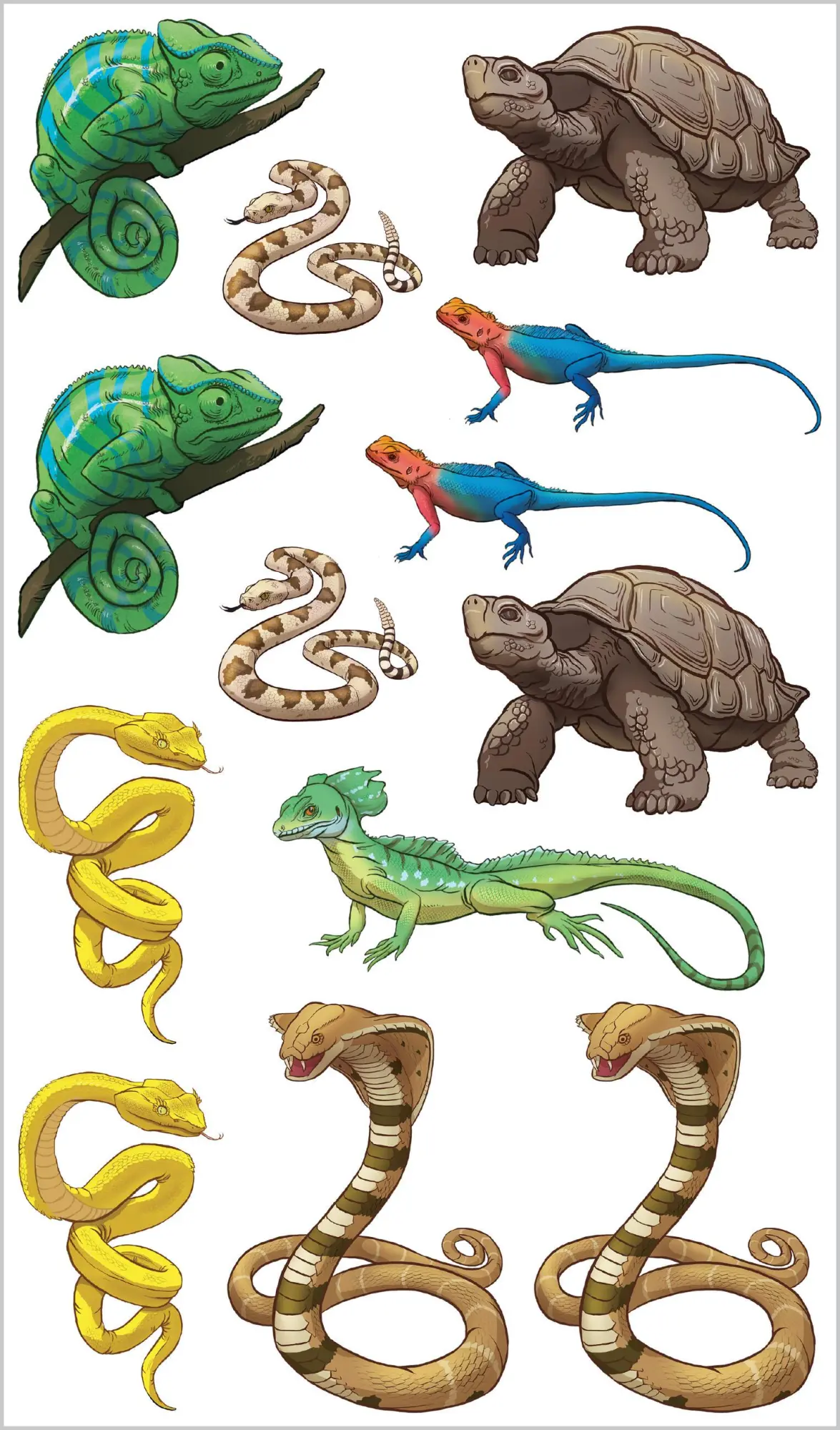 Bild: 9781635866674 | Slithering, Scaly Tattoo Snakes &amp; Other Reptiles | Publishing | Buch