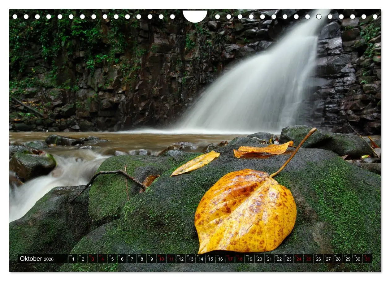 Bild: 9783457916674 | Inselwelt Karibik (Wandkalender 2026 DIN A4 quer), CALVENDO...