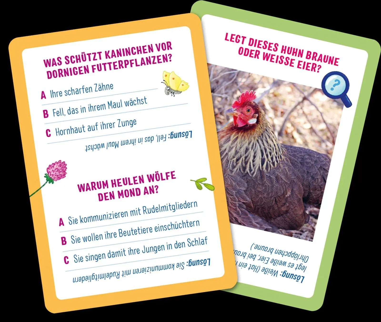 Bild: 4260308346774 | Das Quiz für kleine Forscher - Natur | Klara Wiesel | Spiel | 51 S.