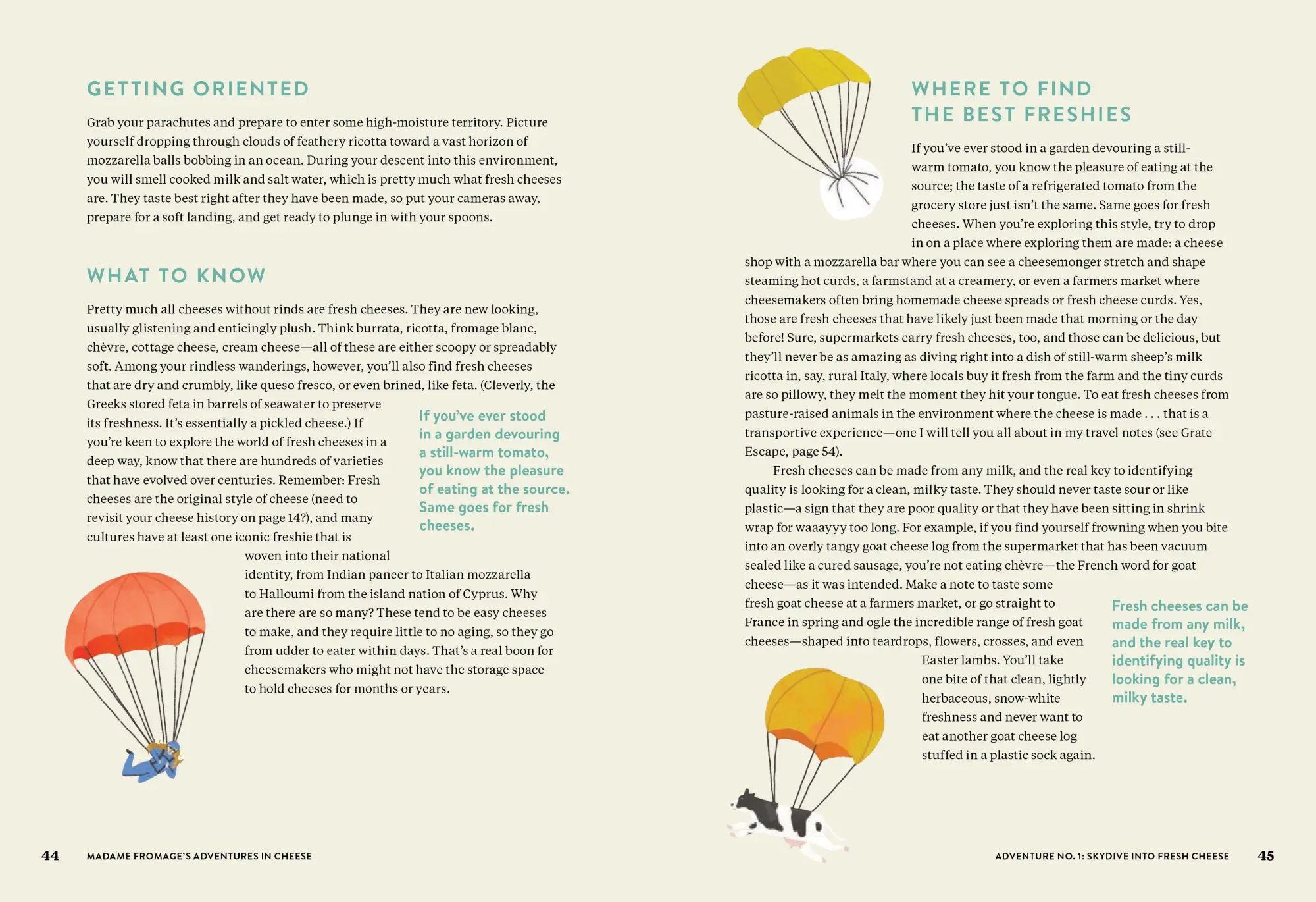 Bild: 9781523506774 | Madame Fromage's Adventures in Cheese | Tenaya Darlington | Buch
