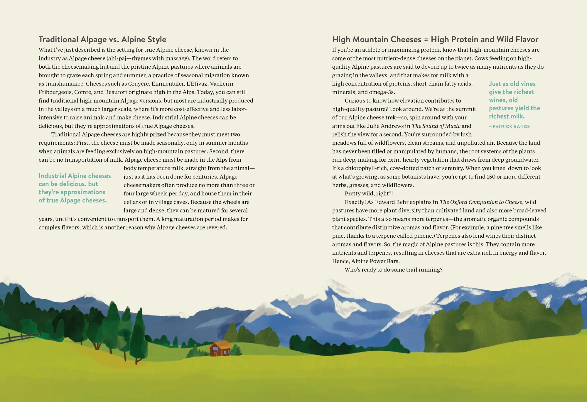 Bild: 9781523506774 | Madame Fromage's Adventures in Cheese | Tenaya Darlington | Buch