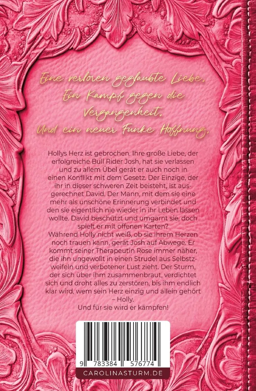 Rückseite: 9783384576774 | Wild Creek Passion | Carolina Sturm | Taschenbuch | 468 S. | Deutsch