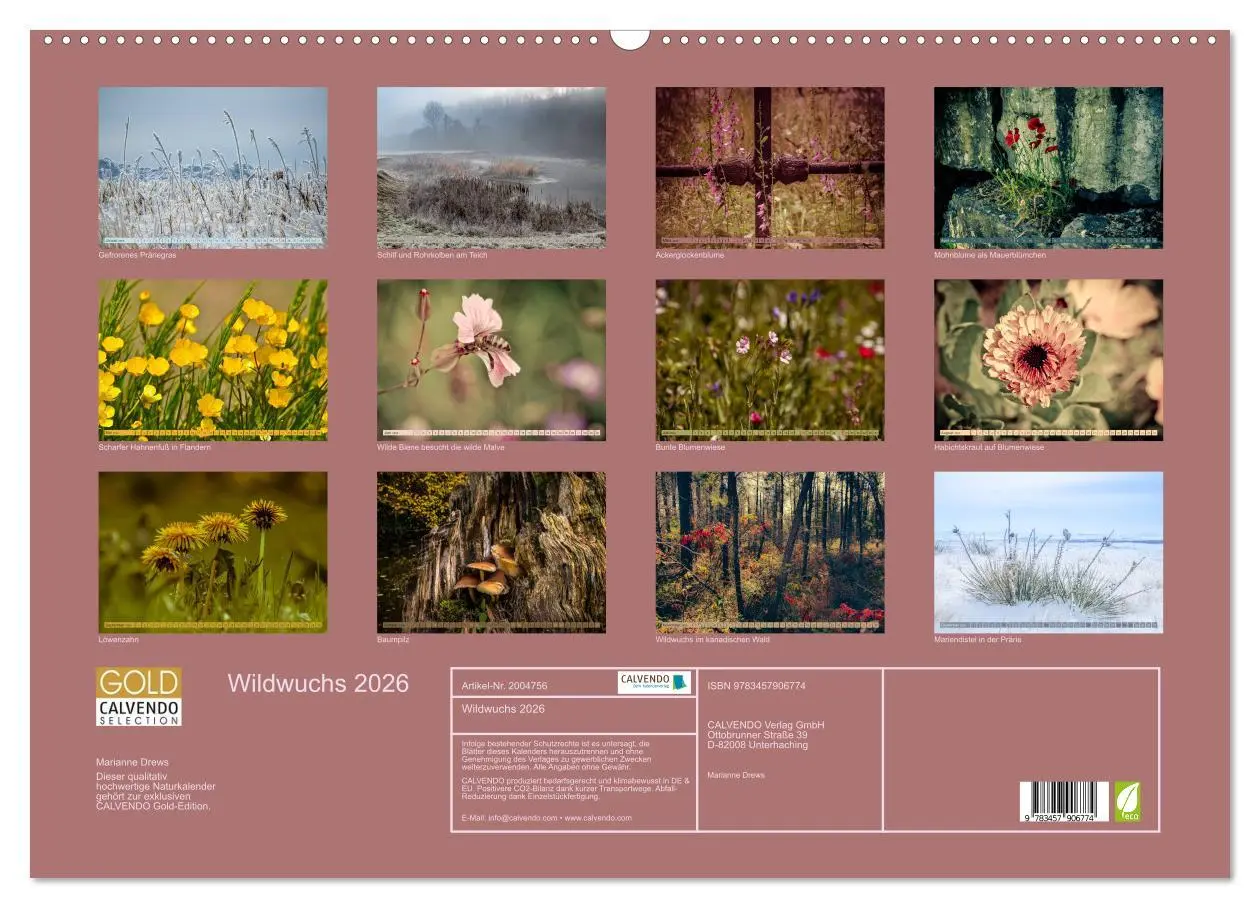 Bild: 9783457906774 | Wildwuchs 2026 (Wandkalender 2026 DIN A2 quer), CALVENDO...