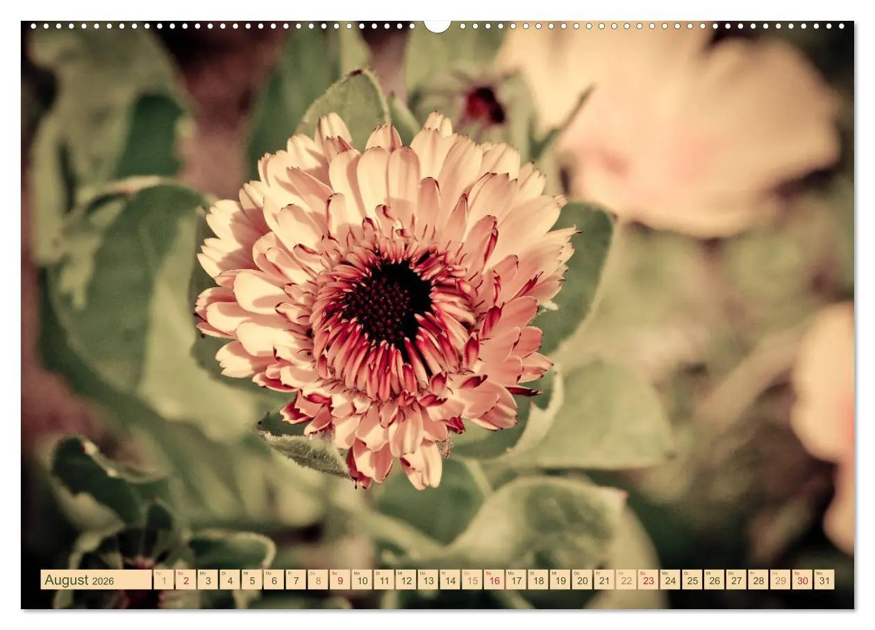 Bild: 9783457906774 | Wildwuchs 2026 (Wandkalender 2026 DIN A2 quer), CALVENDO...