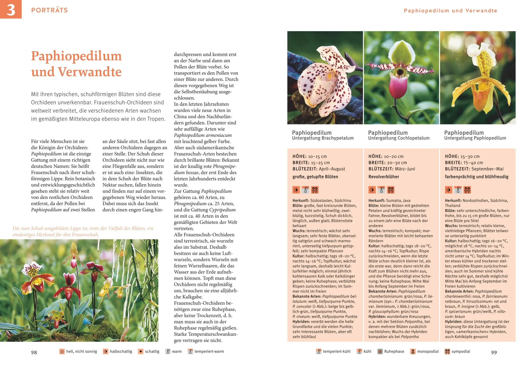 Bild: 9783833896774 | Orchideen pflegen | Schritt für Schritt zu exotischer Pflanzenpracht