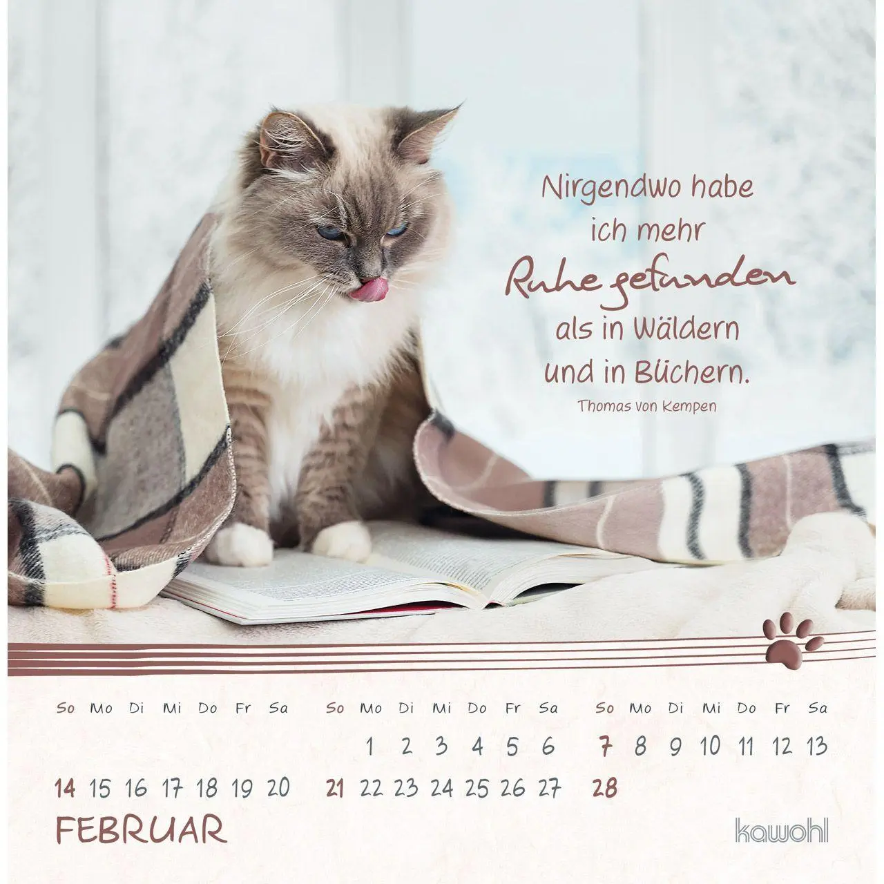 Bild: 9783754816974 | Kleine Katzen-Tatzen 2027 | Postkarten-Kalender | Kalender | 14 S.