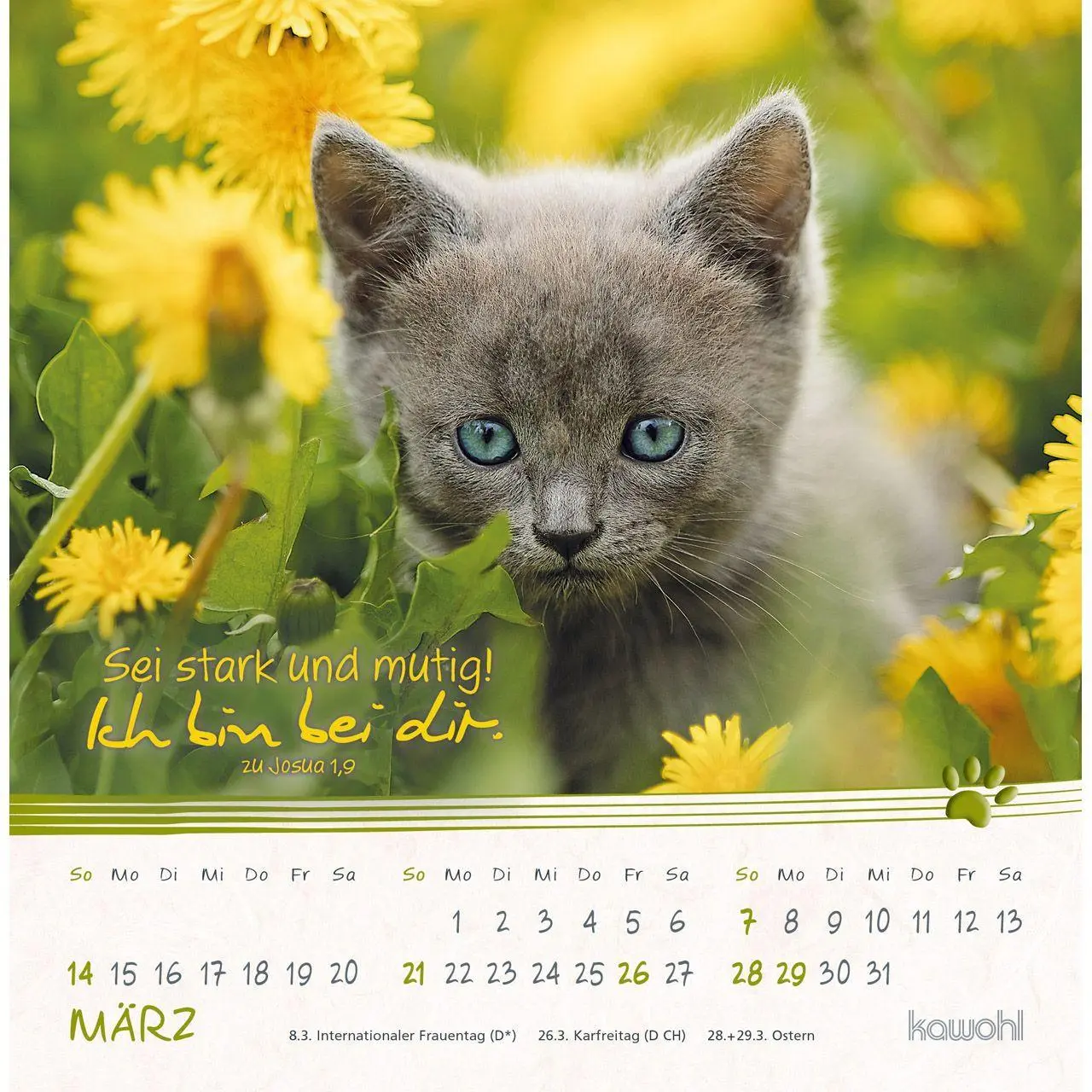 Bild: 9783754816974 | Kleine Katzen-Tatzen 2027 | Postkarten-Kalender | Kalender | 14 S.