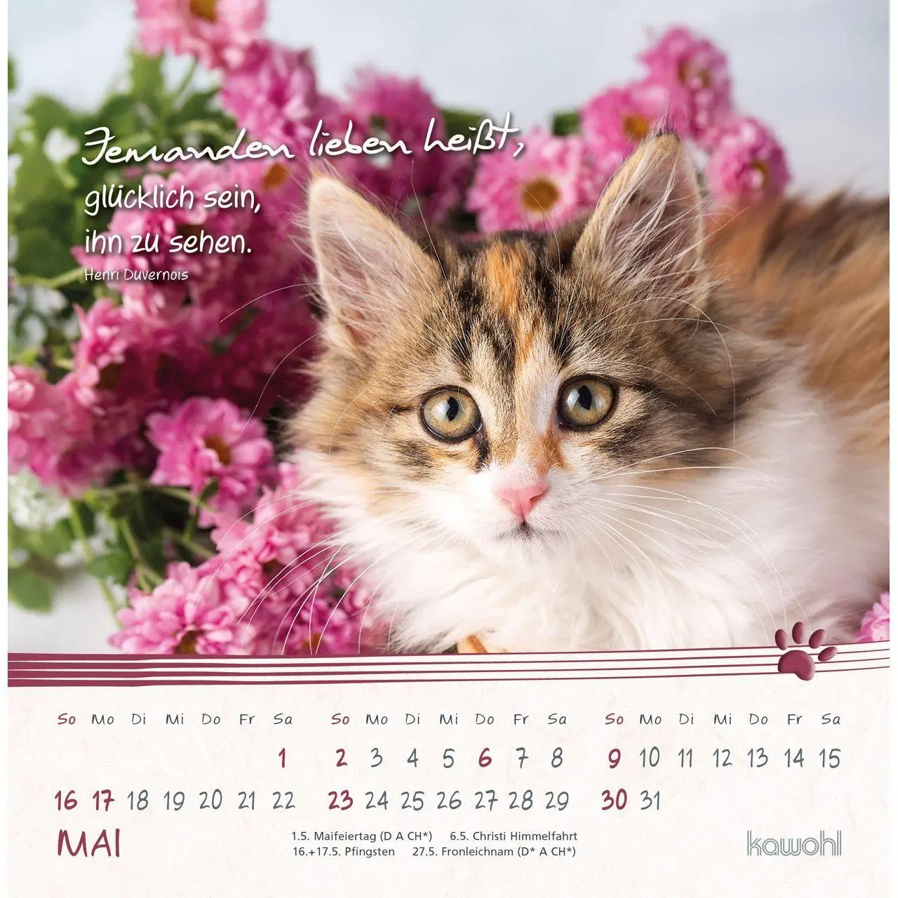 Bild: 9783754816974 | Kleine Katzen-Tatzen 2027 | Postkarten-Kalender | Kalender | 14 S.