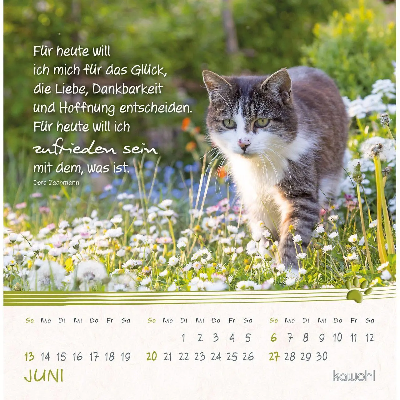 Bild: 9783754816974 | Kleine Katzen-Tatzen 2027 | Postkarten-Kalender | Kalender | 14 S.
