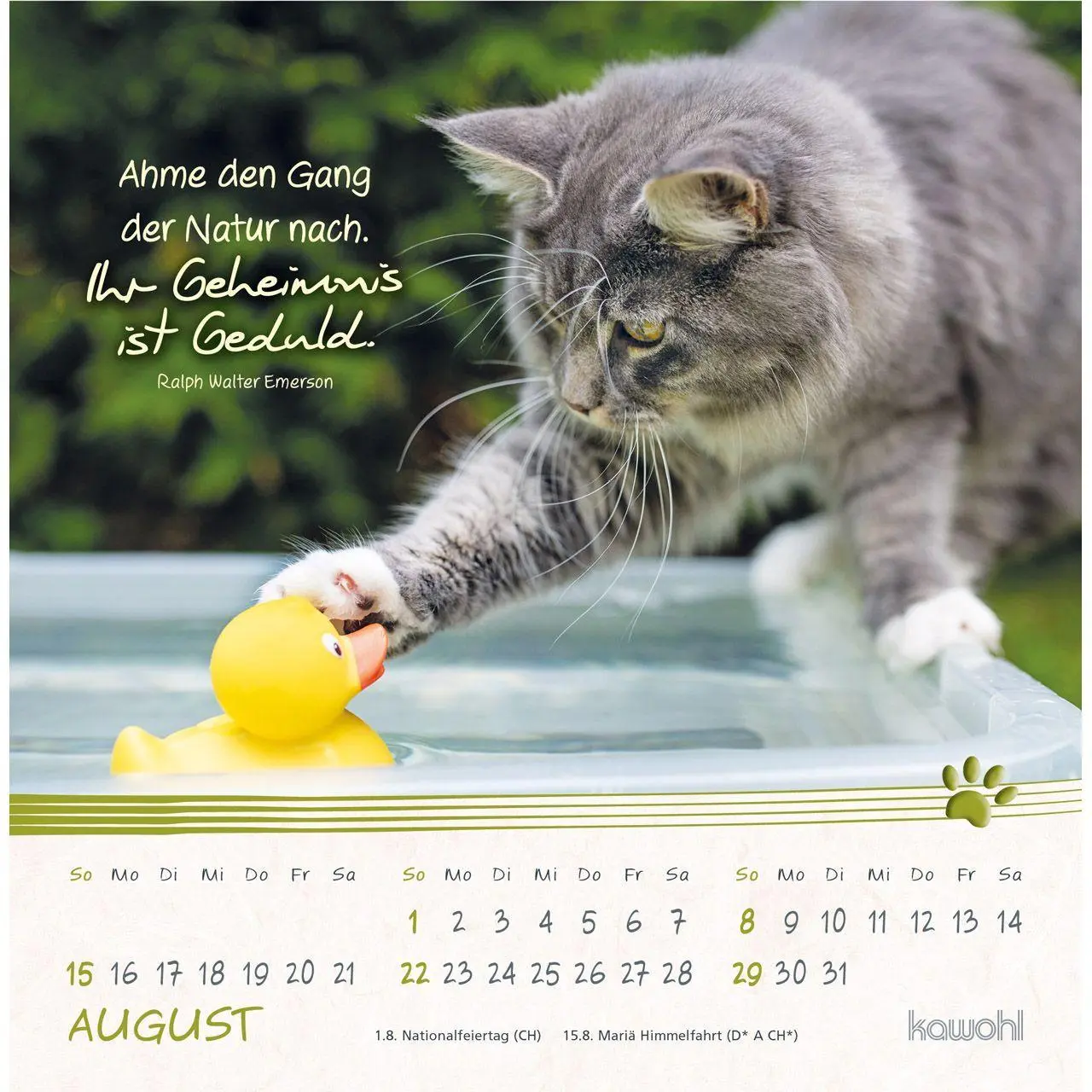Bild: 9783754816974 | Kleine Katzen-Tatzen 2027 | Postkarten-Kalender | Kalender | 14 S.