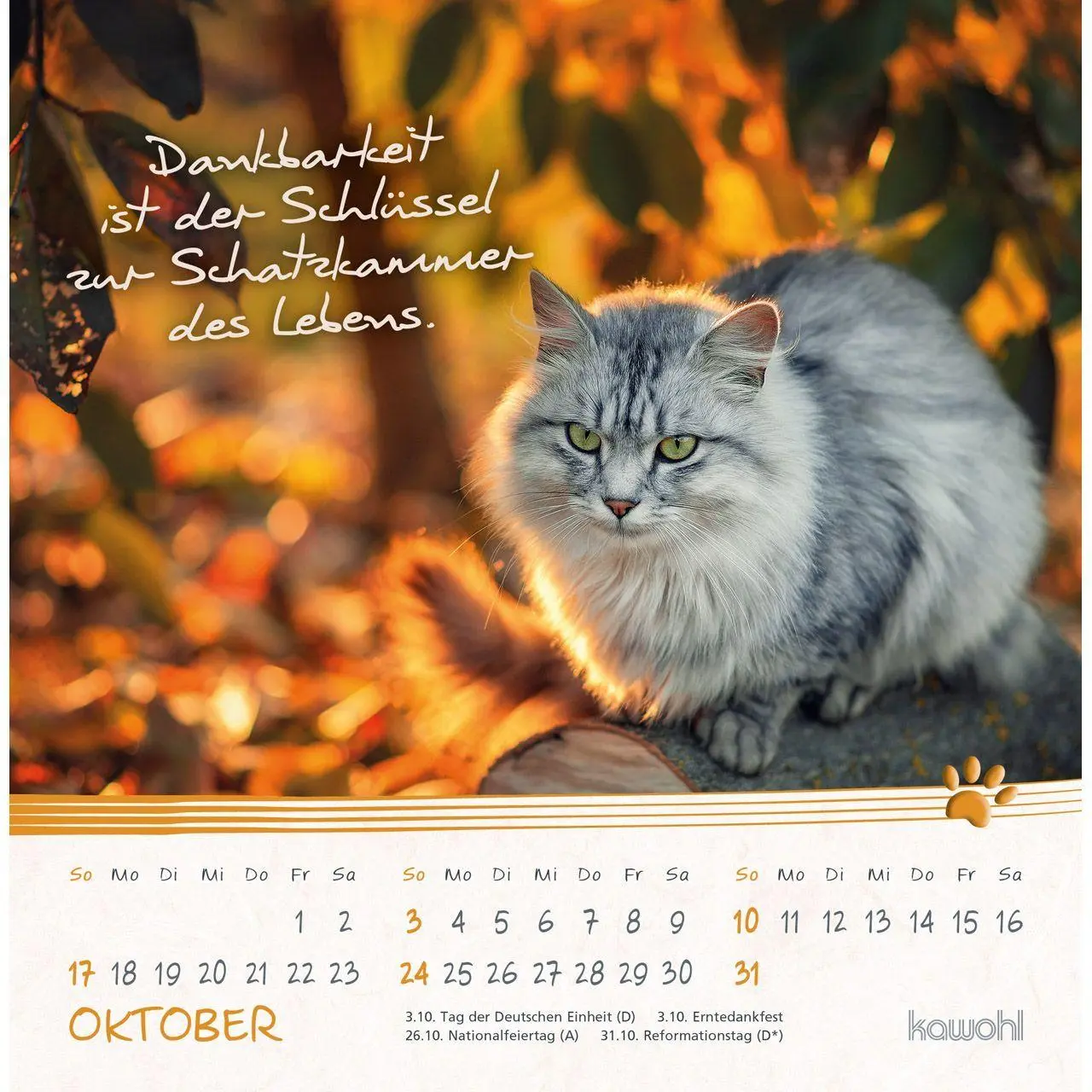 Bild: 9783754816974 | Kleine Katzen-Tatzen 2027 | Postkarten-Kalender | Kalender | 14 S.